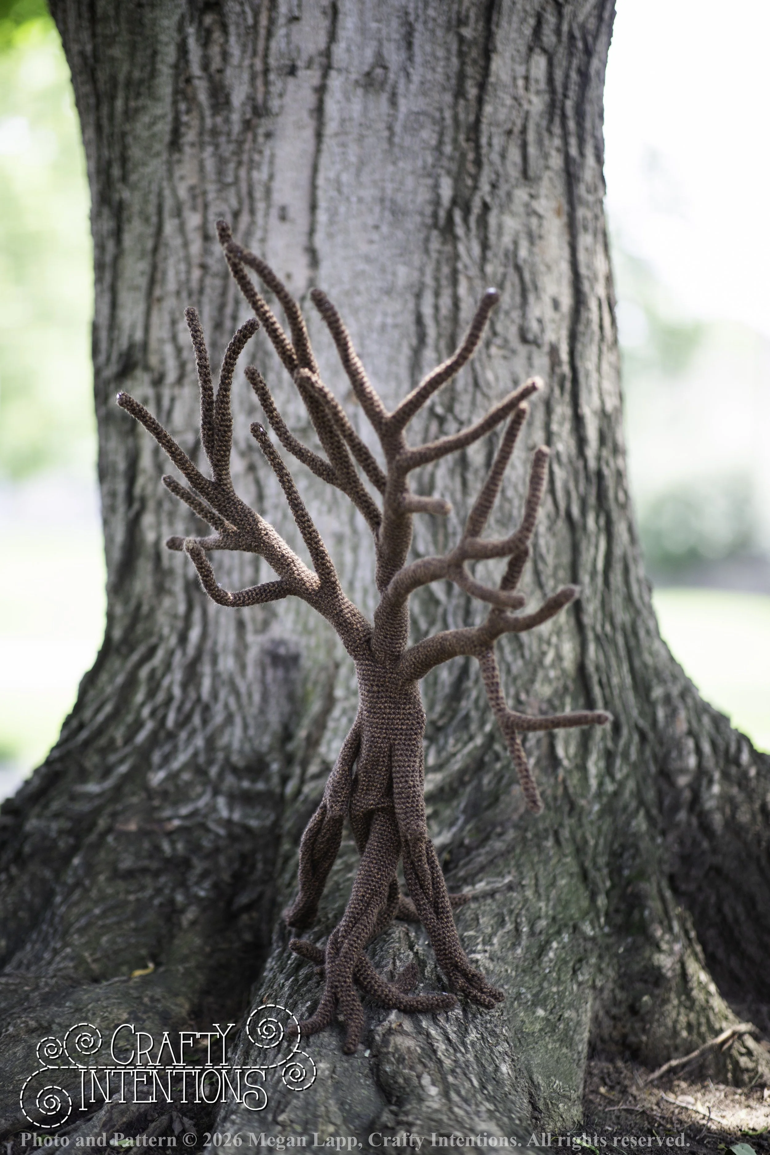IMG_4589walkingtreesaddon wlac.jpg