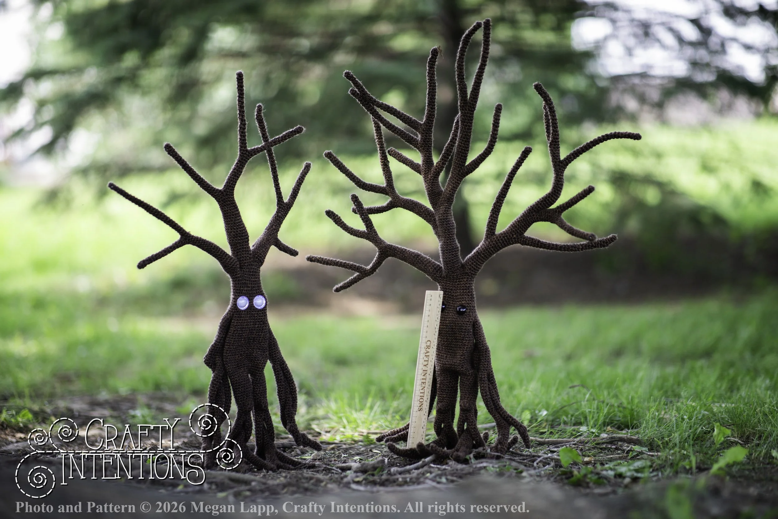IMG_4939walkingtrees wlac.jpg