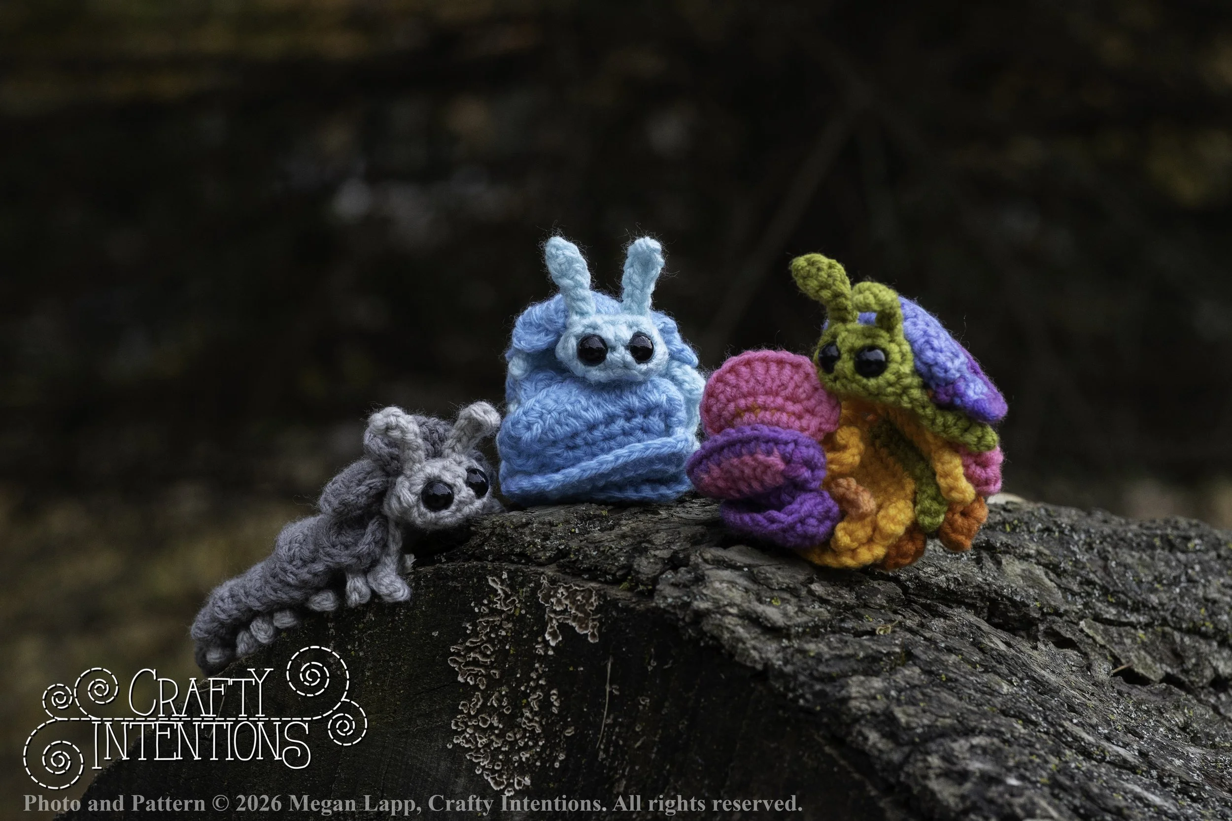 8L2A2362Edited trio spider bug bee2 wlac.jpg