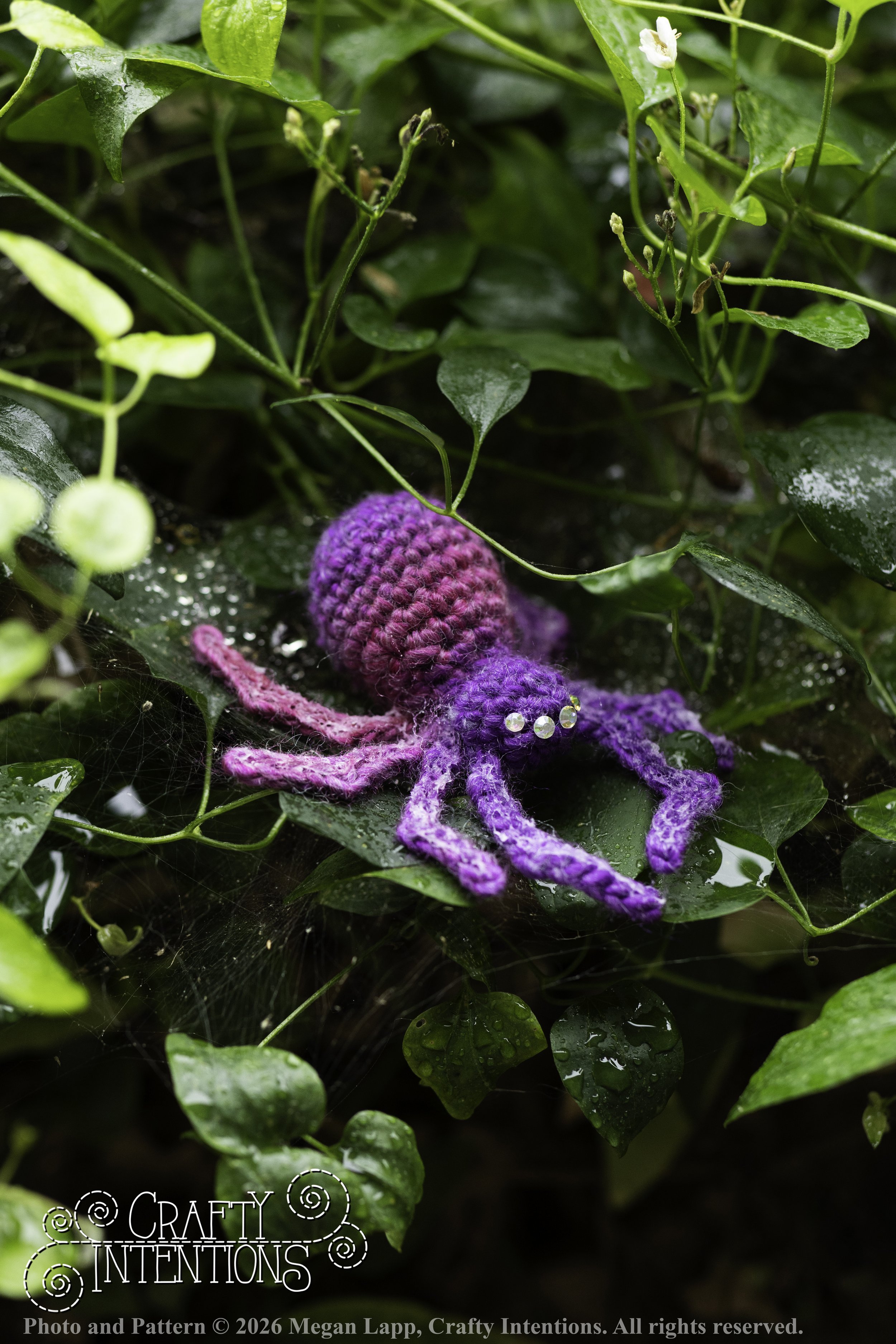 8L2A3681Edited trio spider bug bee wlac.jpg