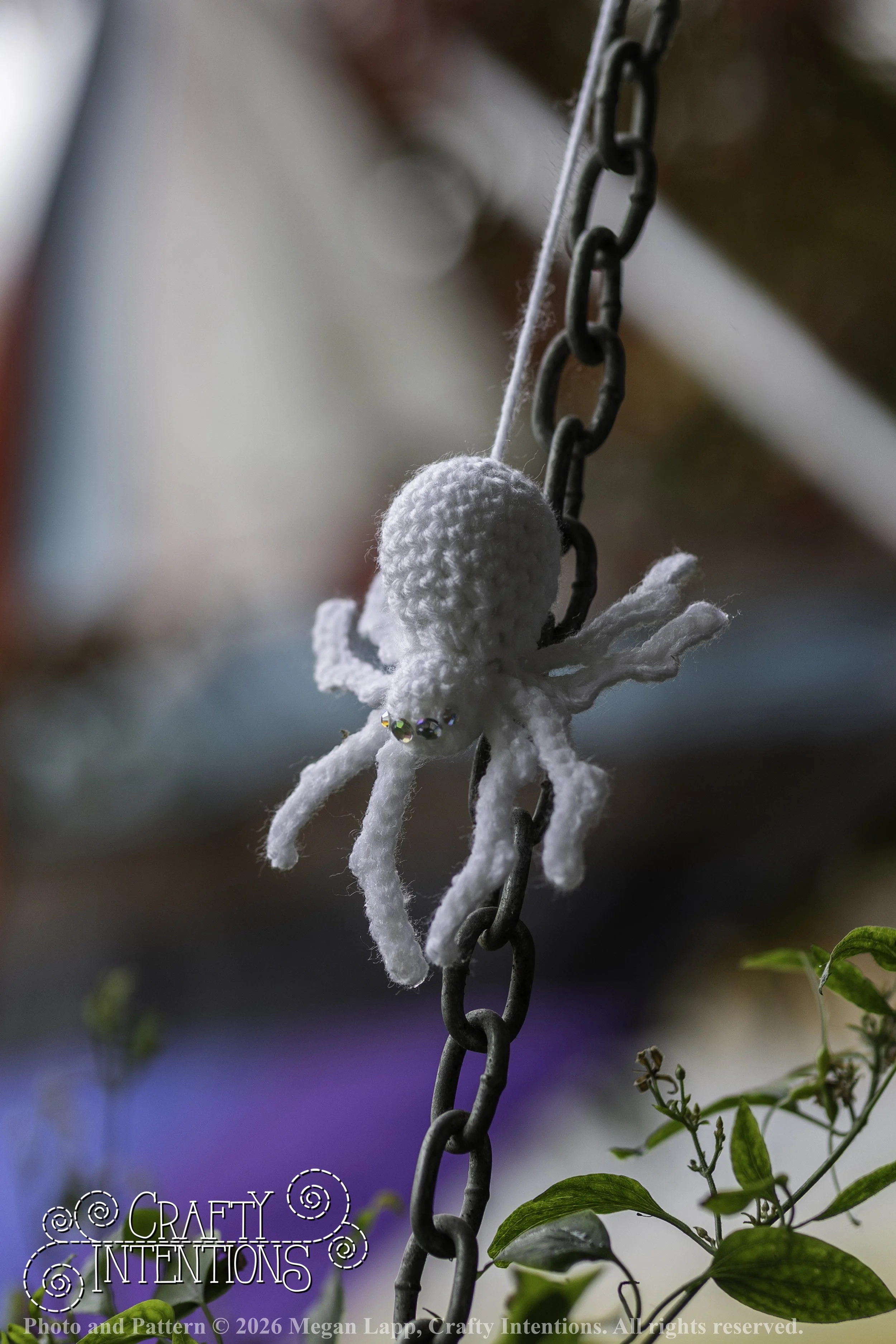 8L2A3699Edited trio spider bug bee wlac.jpg