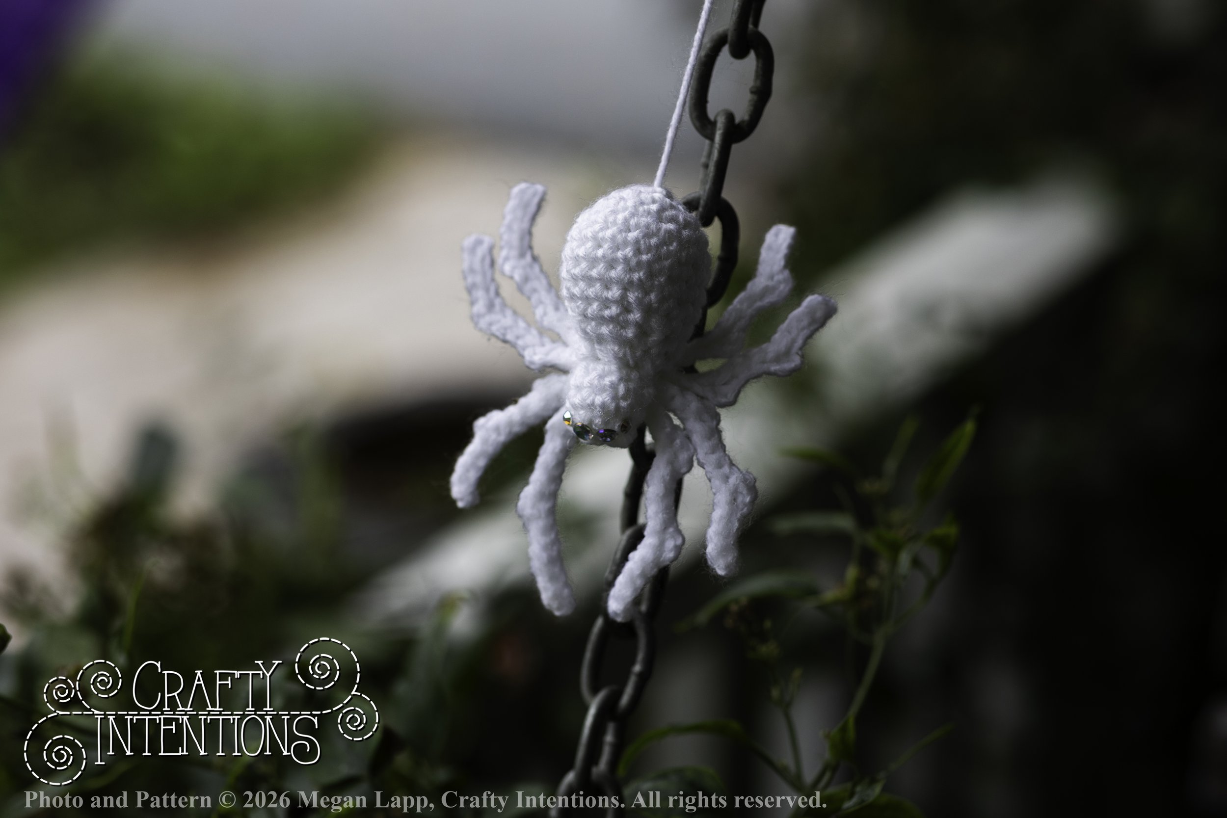 8L2A3706Edited trio spider bug bee2 wlac.jpg