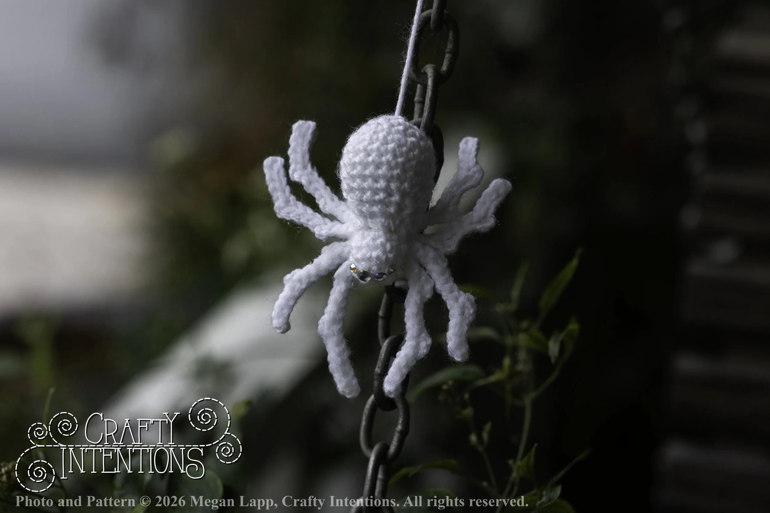 8L2A3707Edited trio spider bug bee wlac.jpg