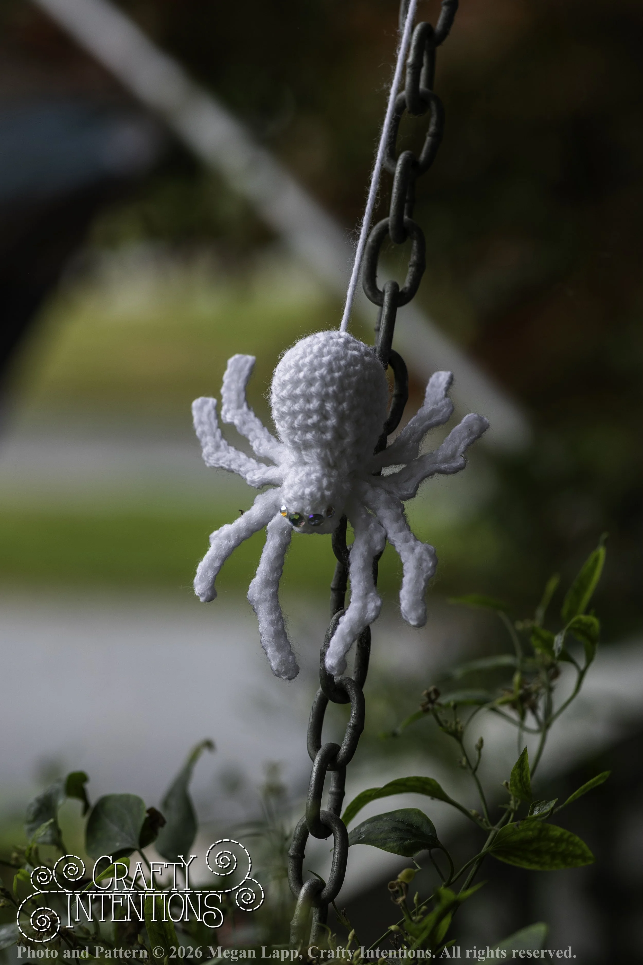 8L2A3710Edited trio spider bug bee2 wlac.jpg