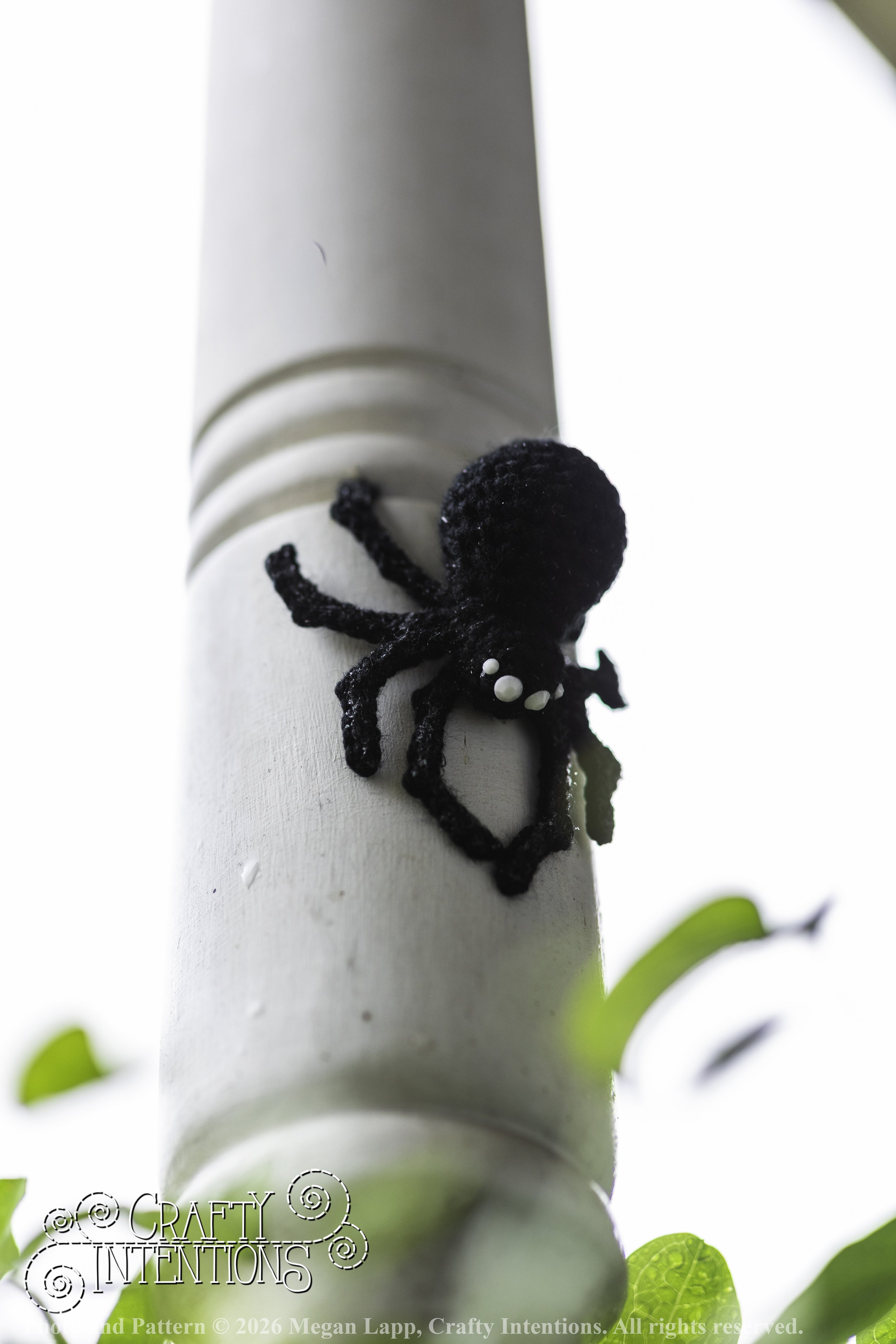 8L2A3719Edited trio spider bug bee wlac.jpg