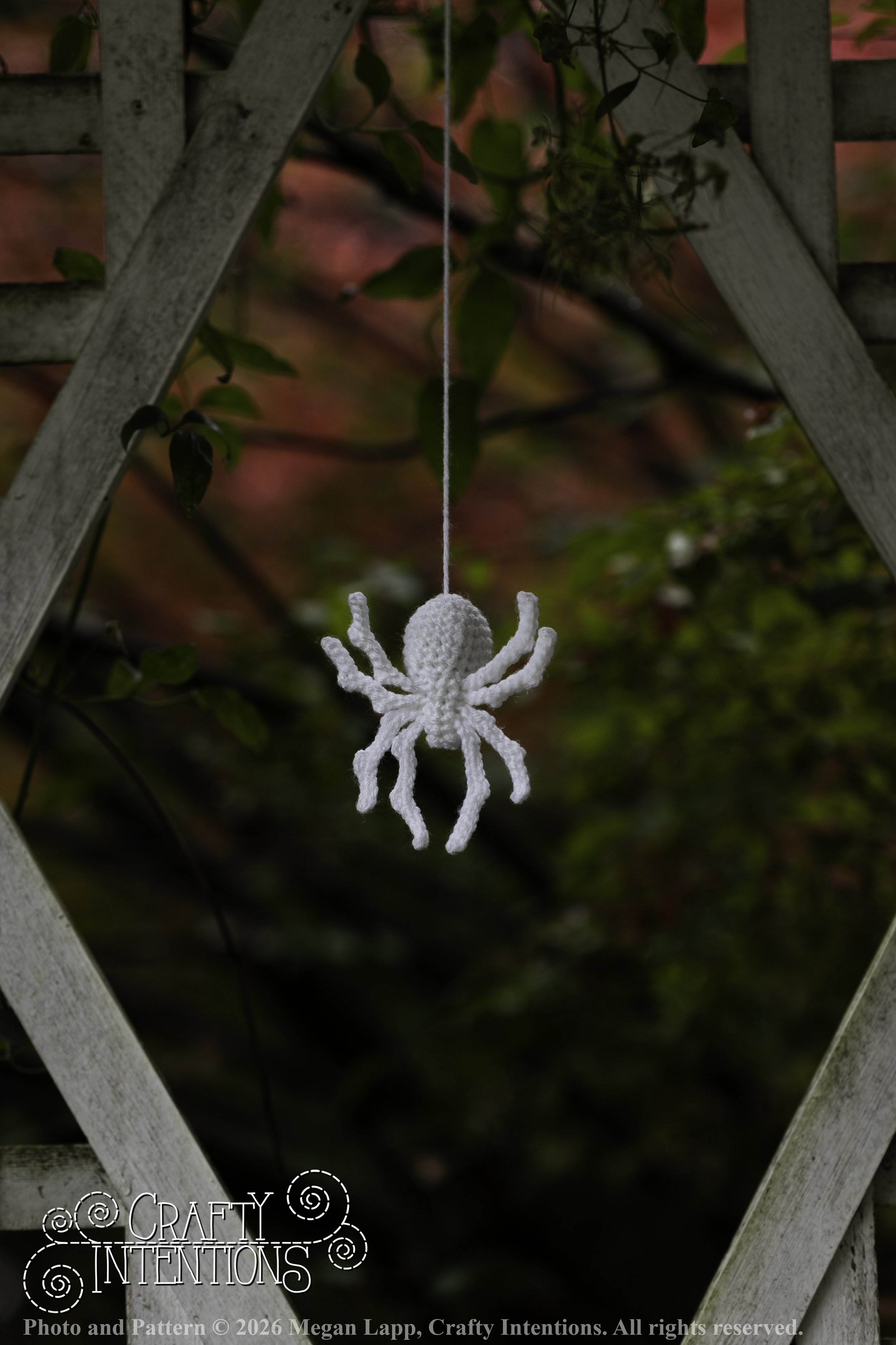 8L2A3721Edited trio spider bug bee wlac.jpg