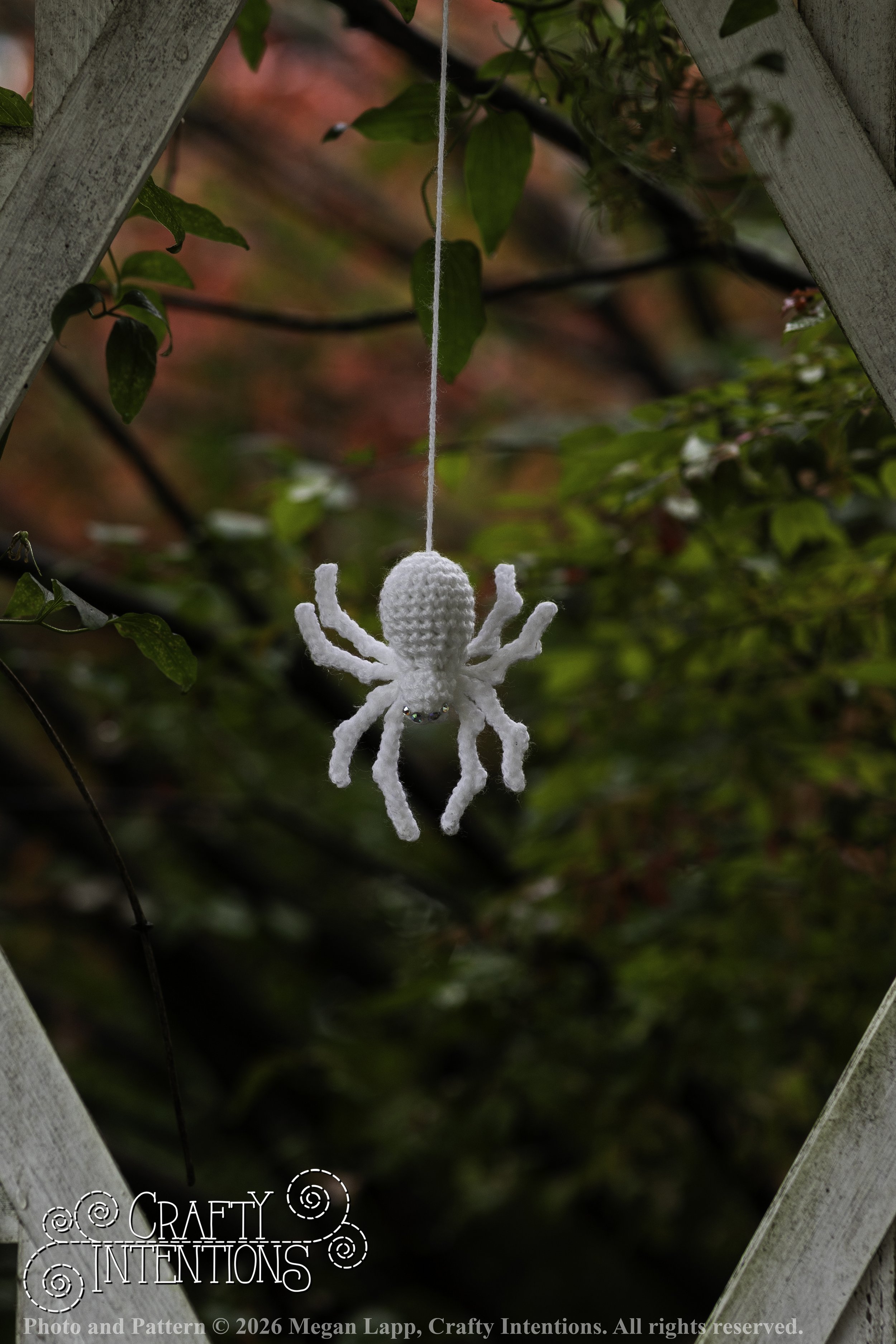 8L2A3730Edited trio spider bug bee wlac.jpg