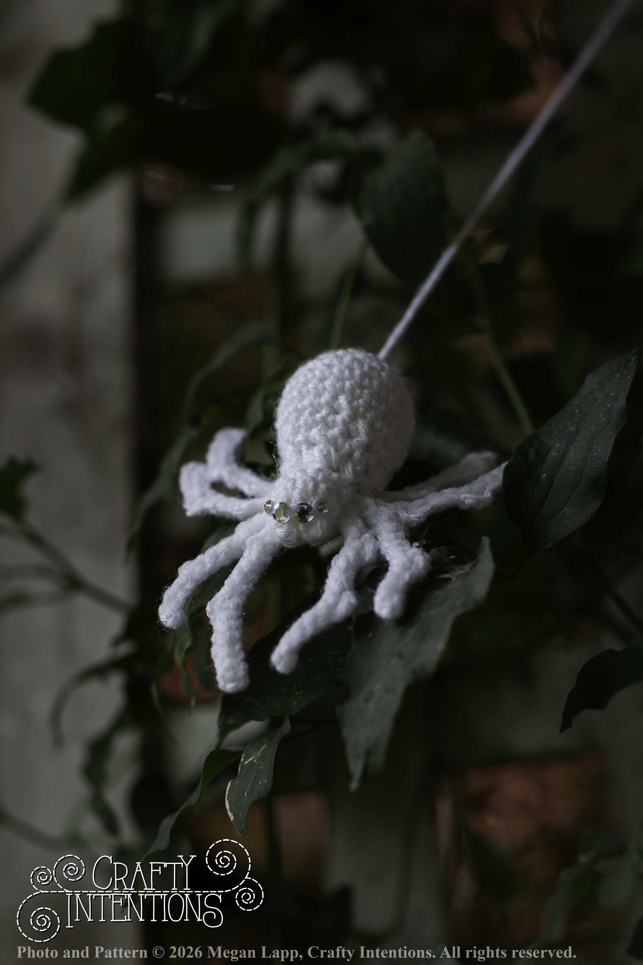 8L2A3748Edited trio spider bug bee2 wlac.jpg