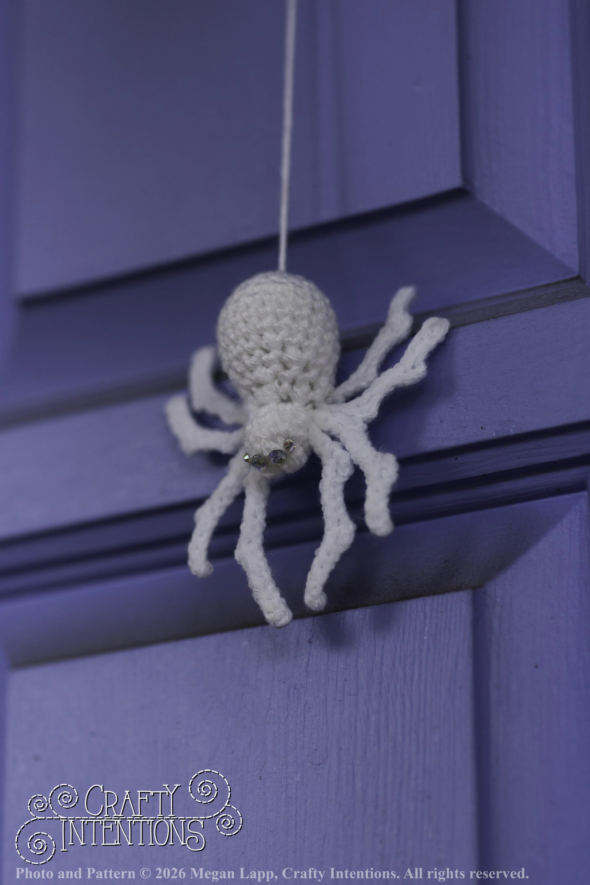 8L2A3756Edited trio spider bug bee wlac.jpg