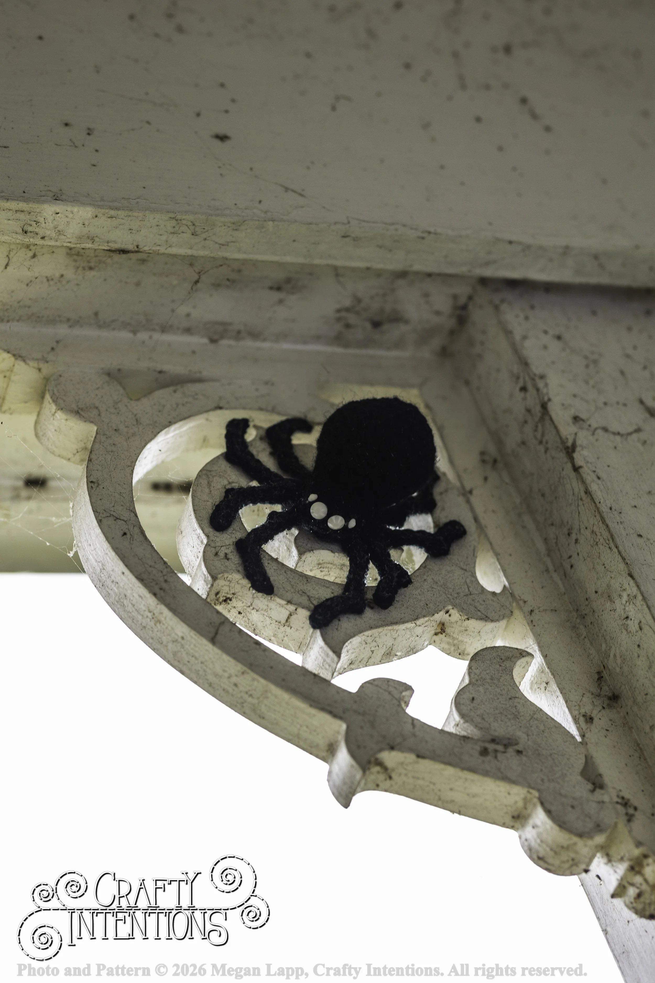 8L2A3767Edited trio spider bug bee wlac.jpg