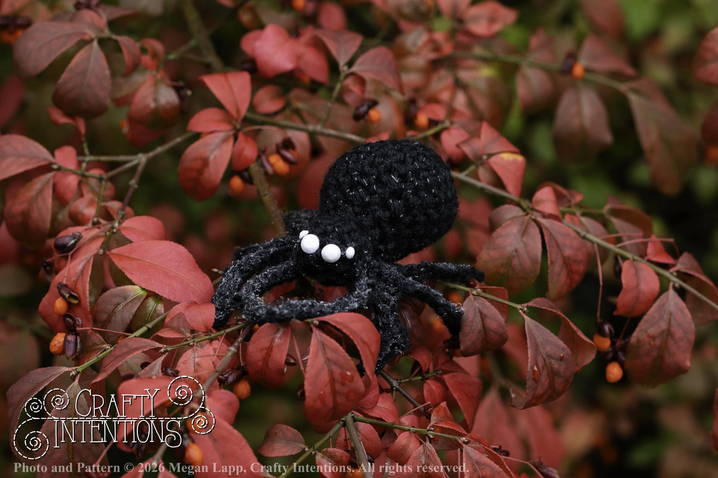 8L2A3916Edited trio spider bug bee wlac.jpg