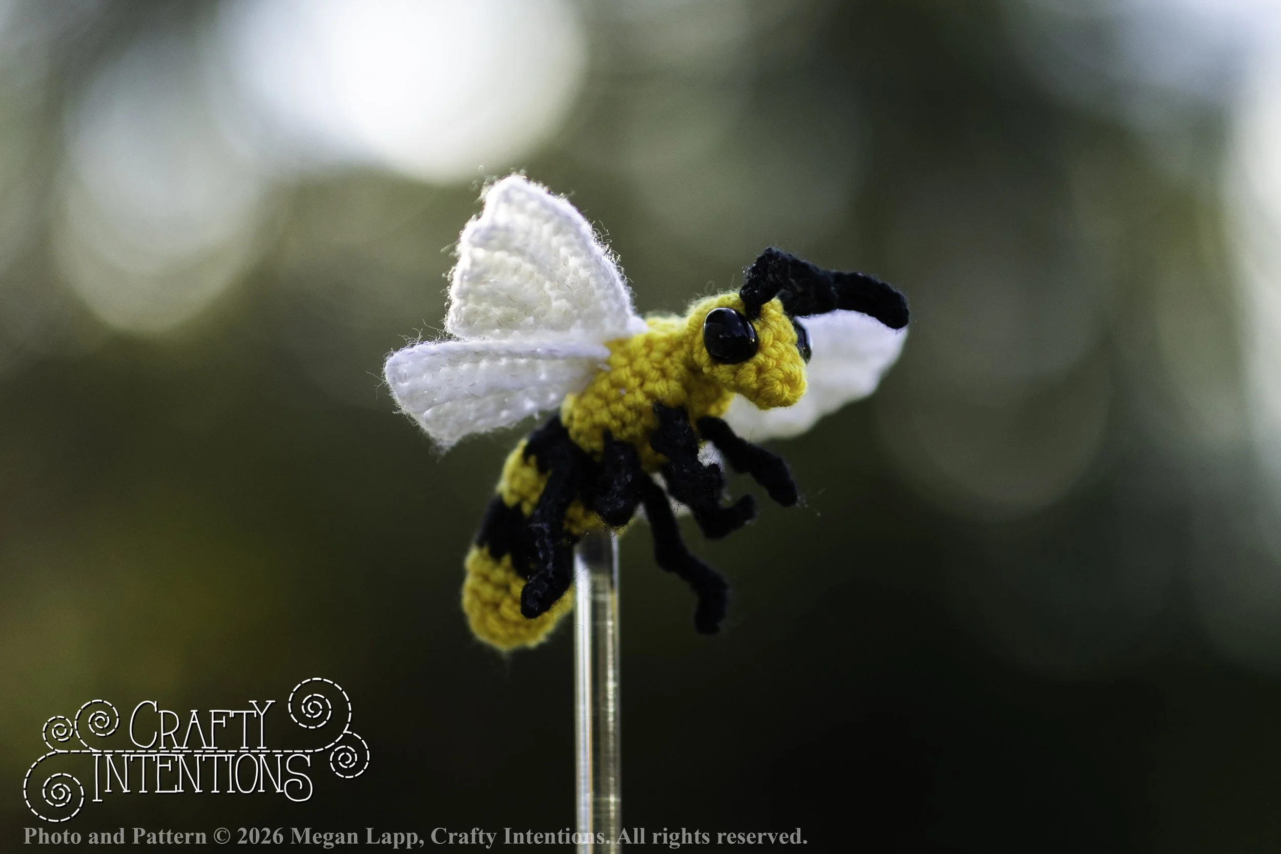 8L2A4198Edited trio spider bug bee wlac.jpg