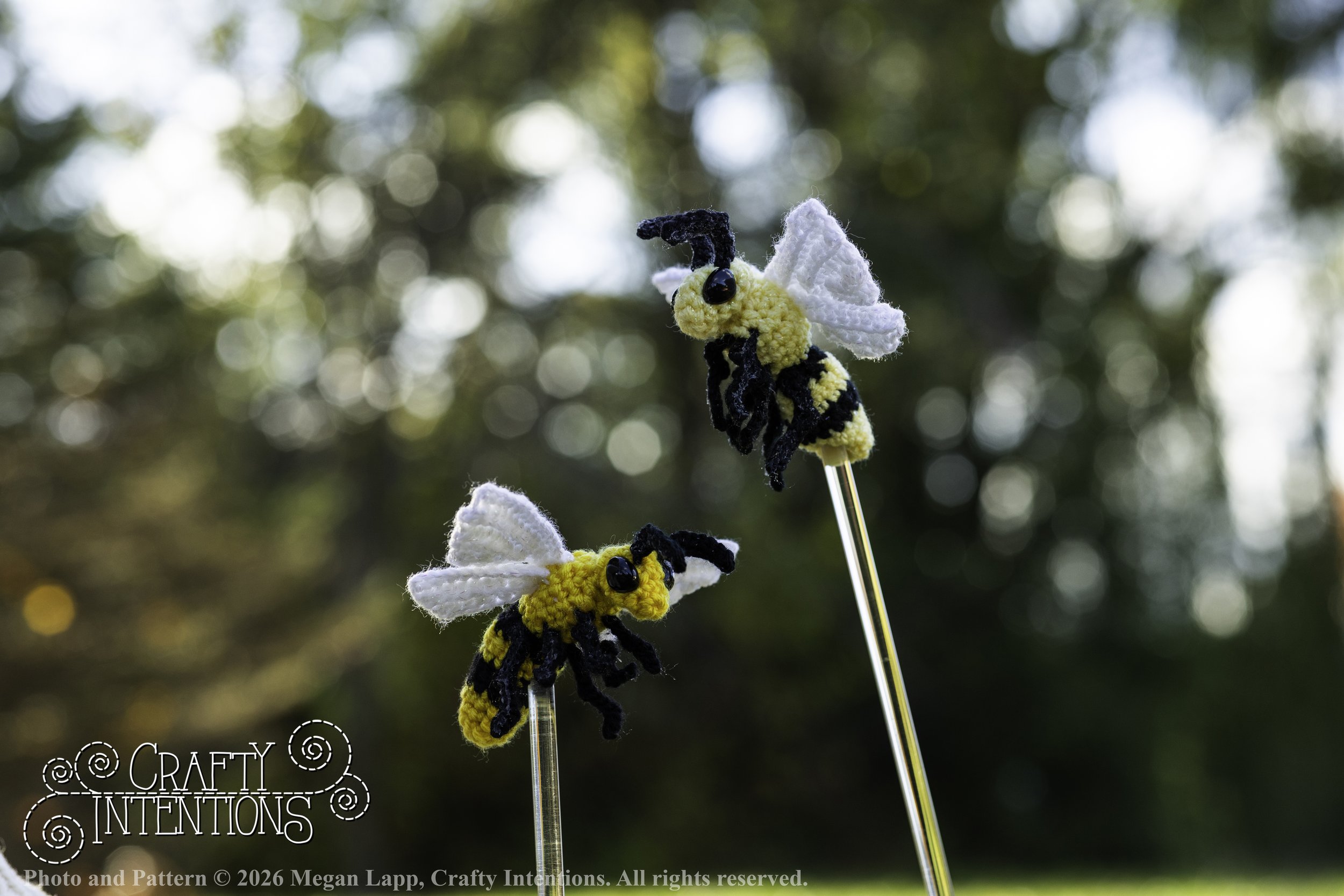 8L2A4212Edited trio spider bug bee wlac.jpg