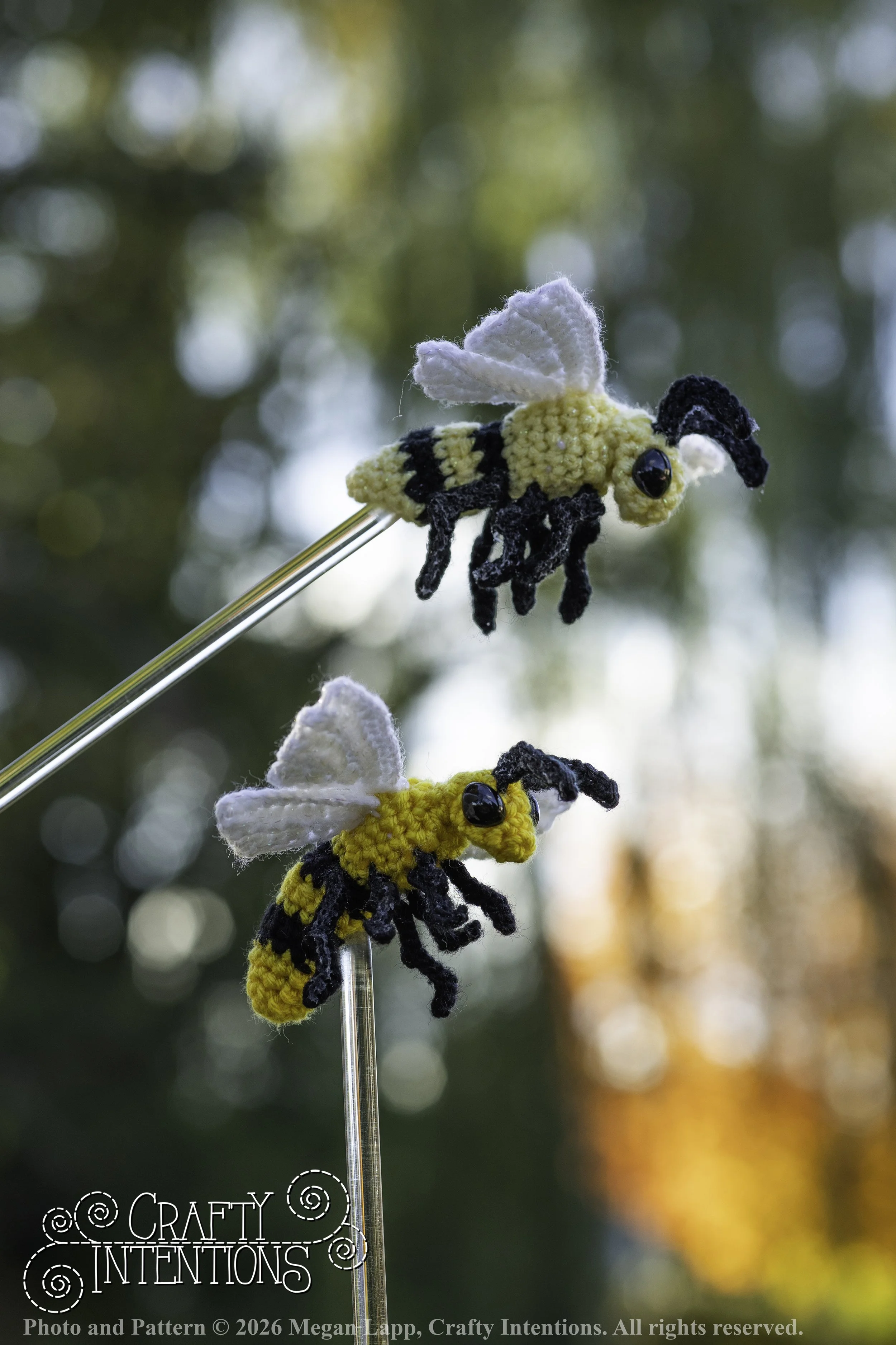 8L2A4214Edited trio spider bug bee wlac.jpg