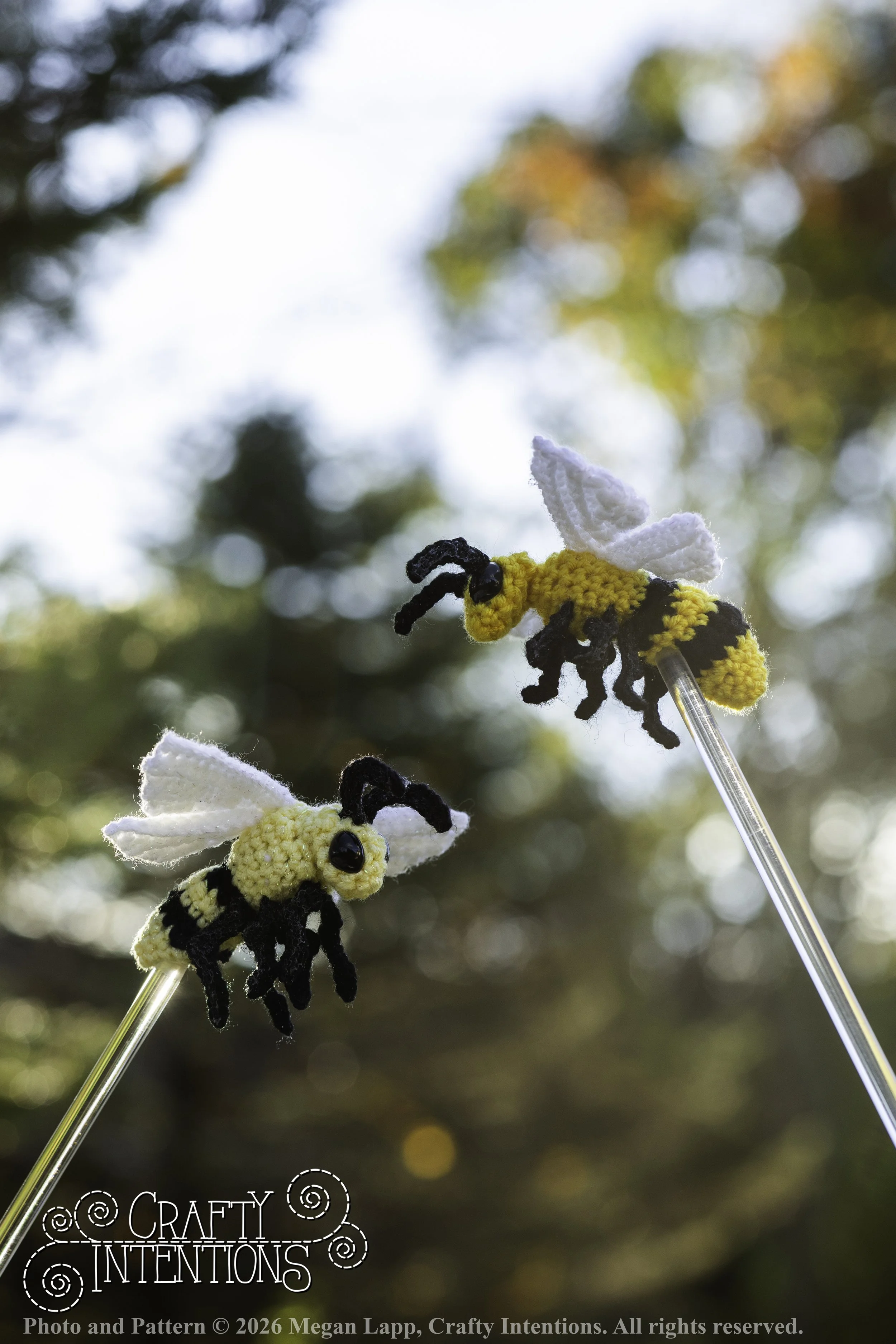 8L2A4223Edited trio spider bug bee wlac.jpg