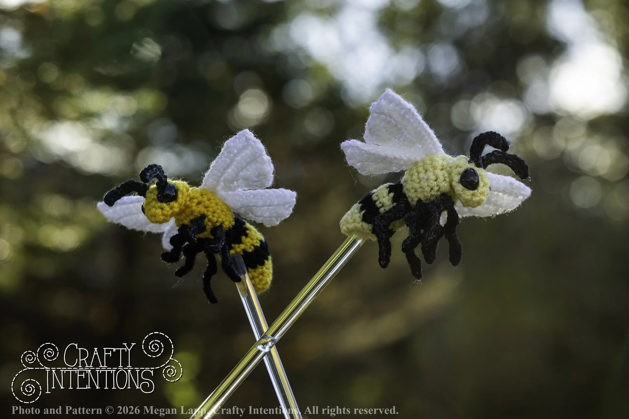 8L2A4231Edited trio spider bug bee wlac.jpg