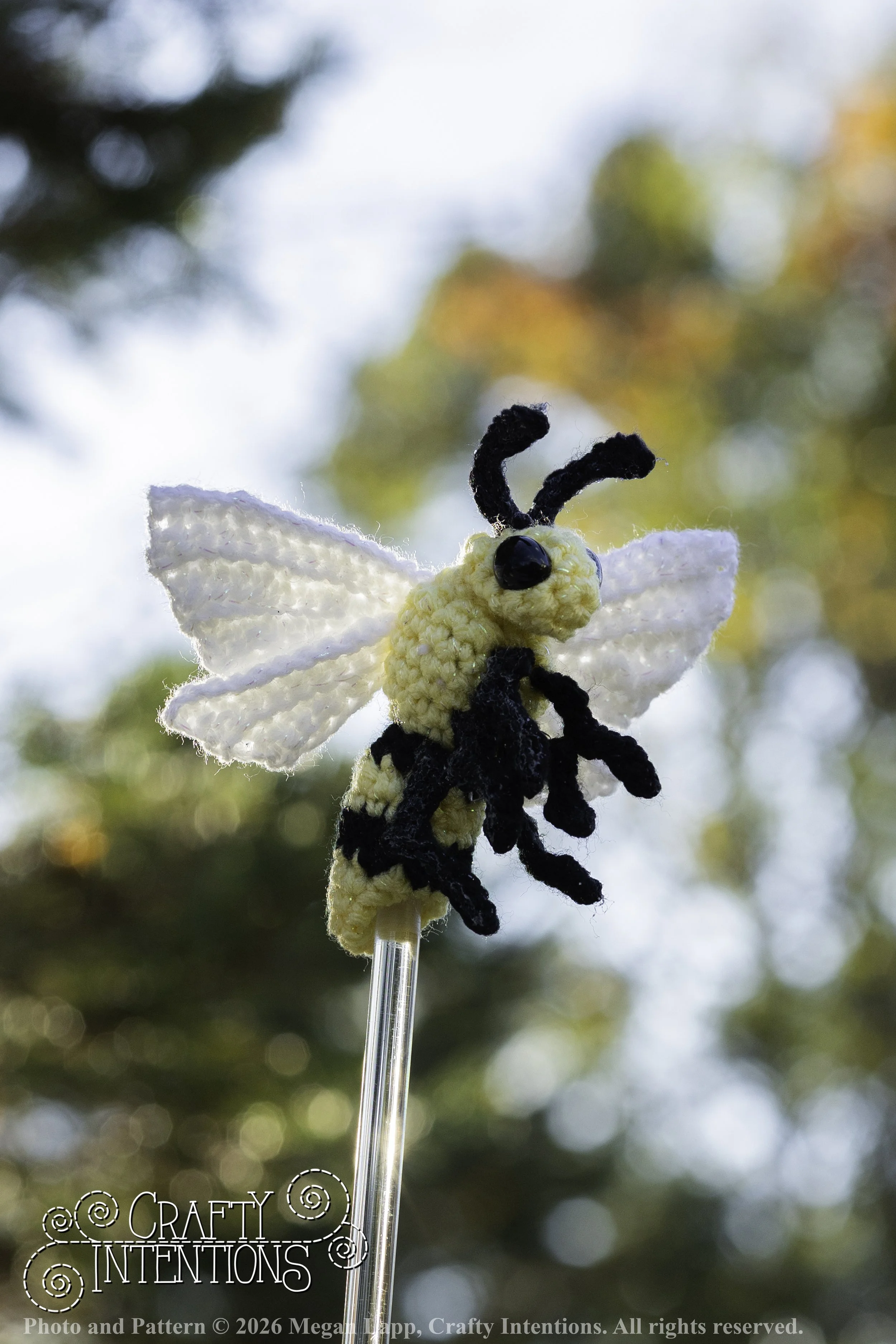 8L2A4235Edited trio spider bug bee wlac.jpg