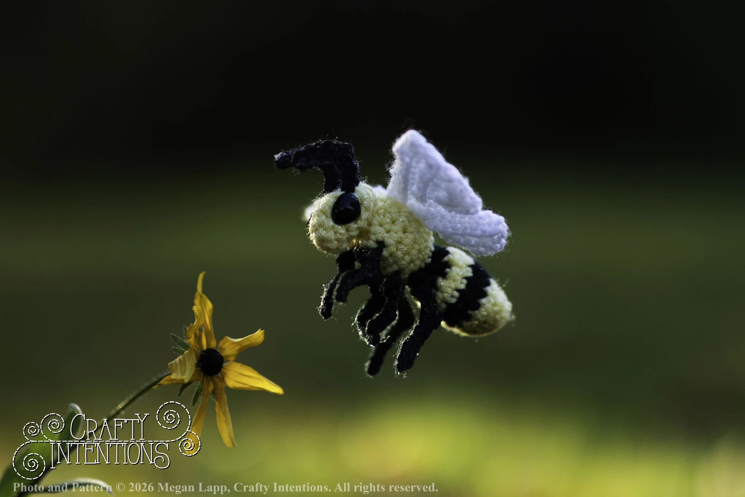 8L2A4271Edited trio spider bug bee2 wlac.jpg