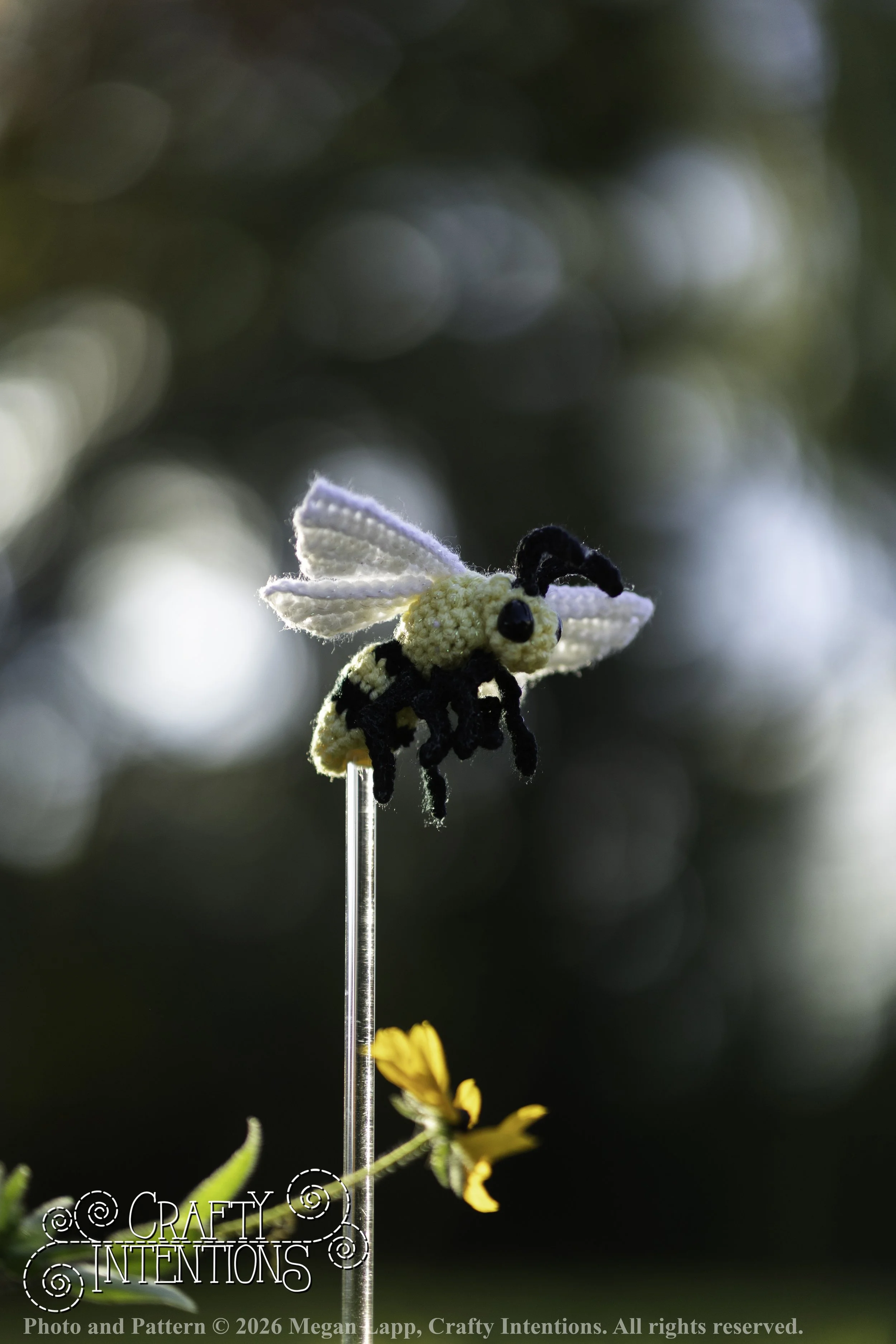 8L2A4279Edited trio spider bug bee wlac.jpg