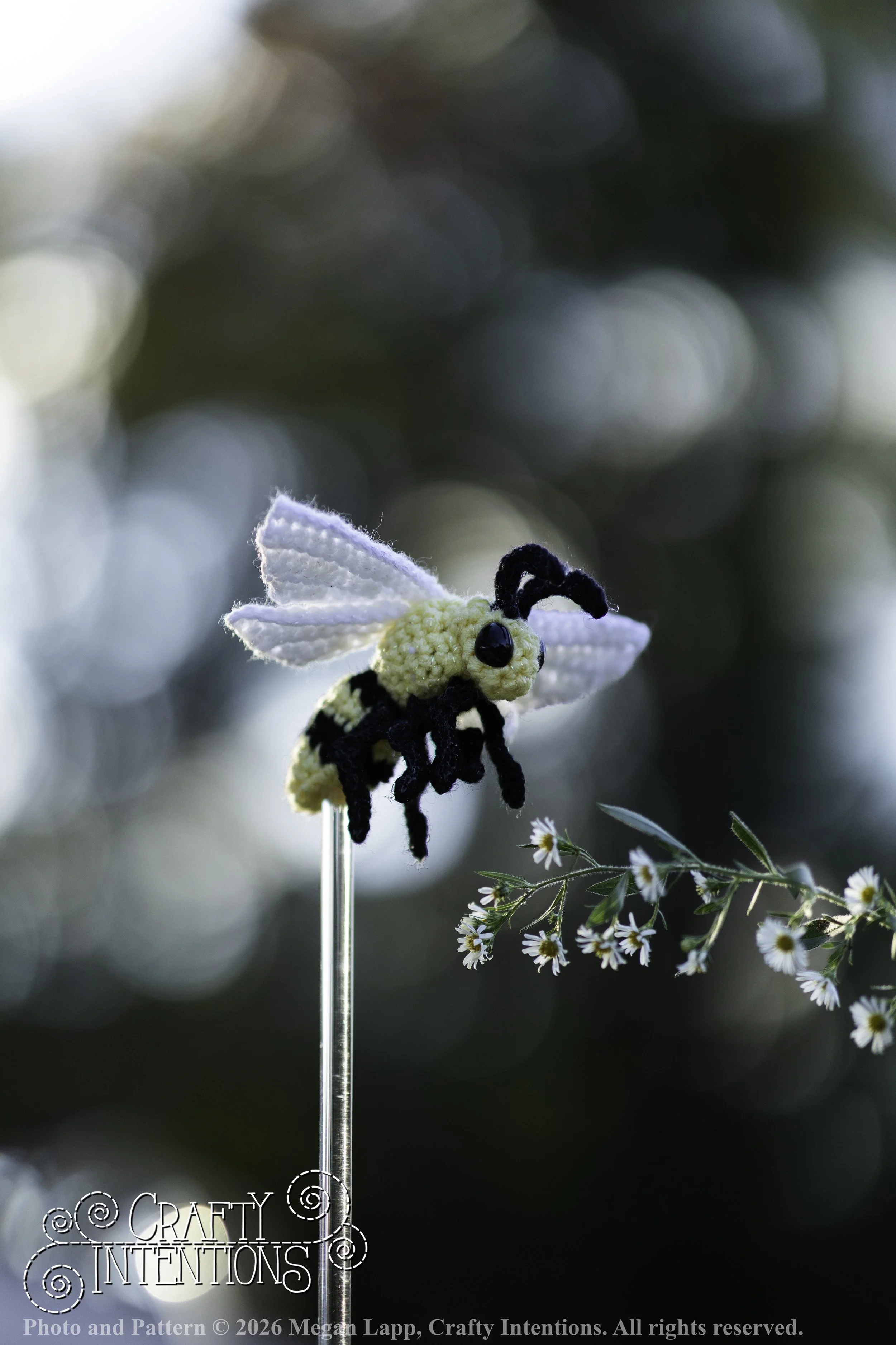8L2A4294Edited trio spider bug bee wlac.jpg
