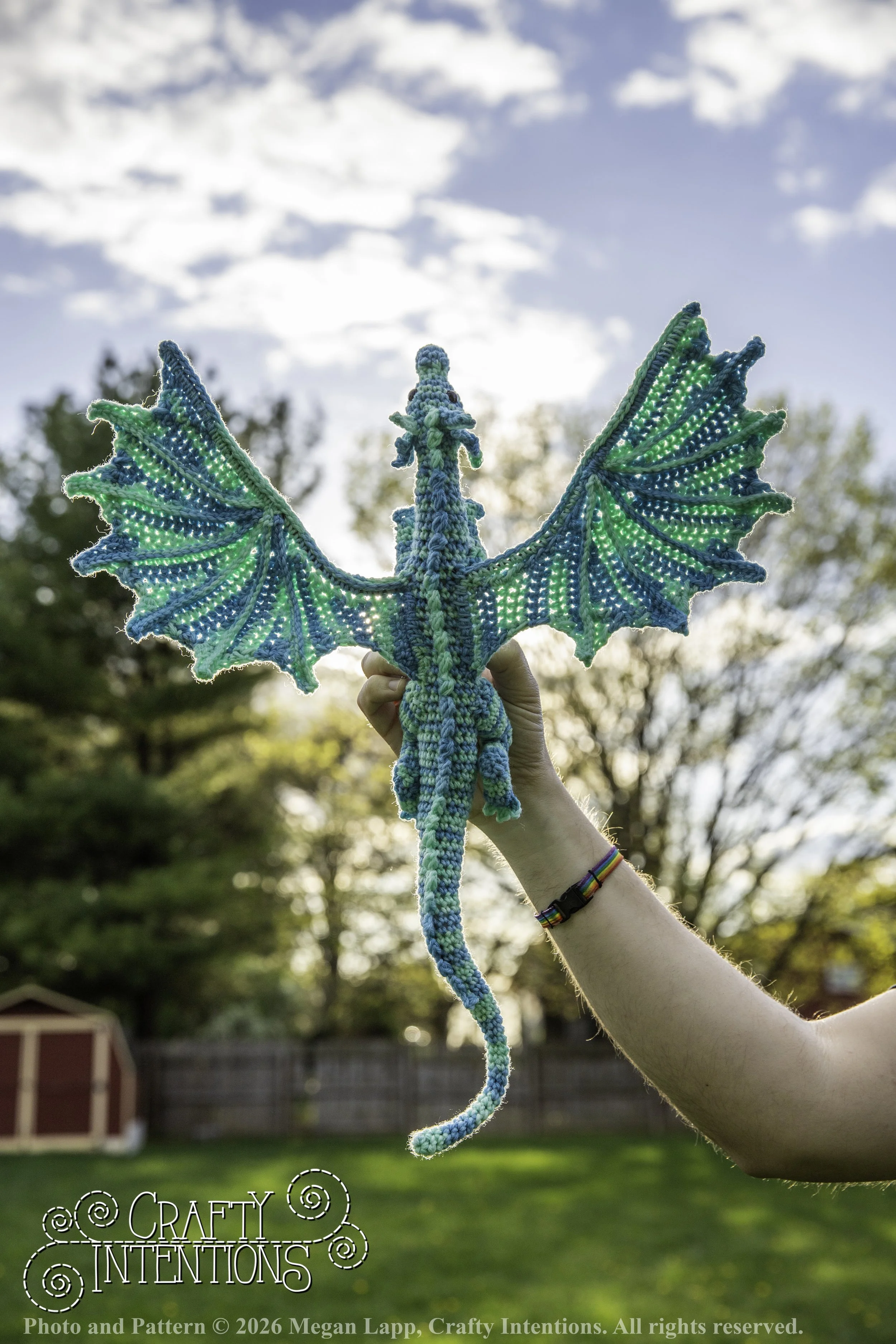 IMG_3973Charmingswiftwingdragoneditedlighterv3 wlac.jpg