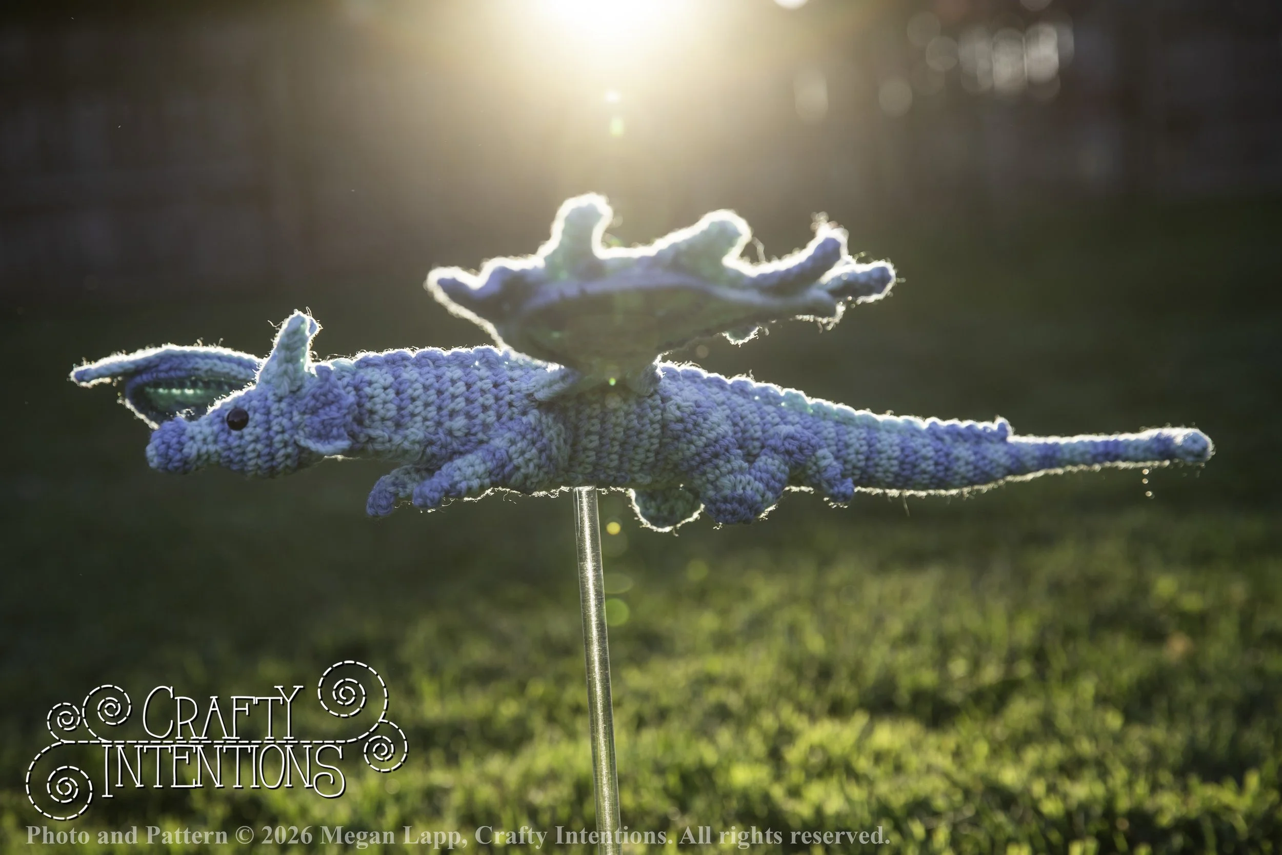 IMG_5881Charmingswiftwingdragoneditedlighter wlac.jpg