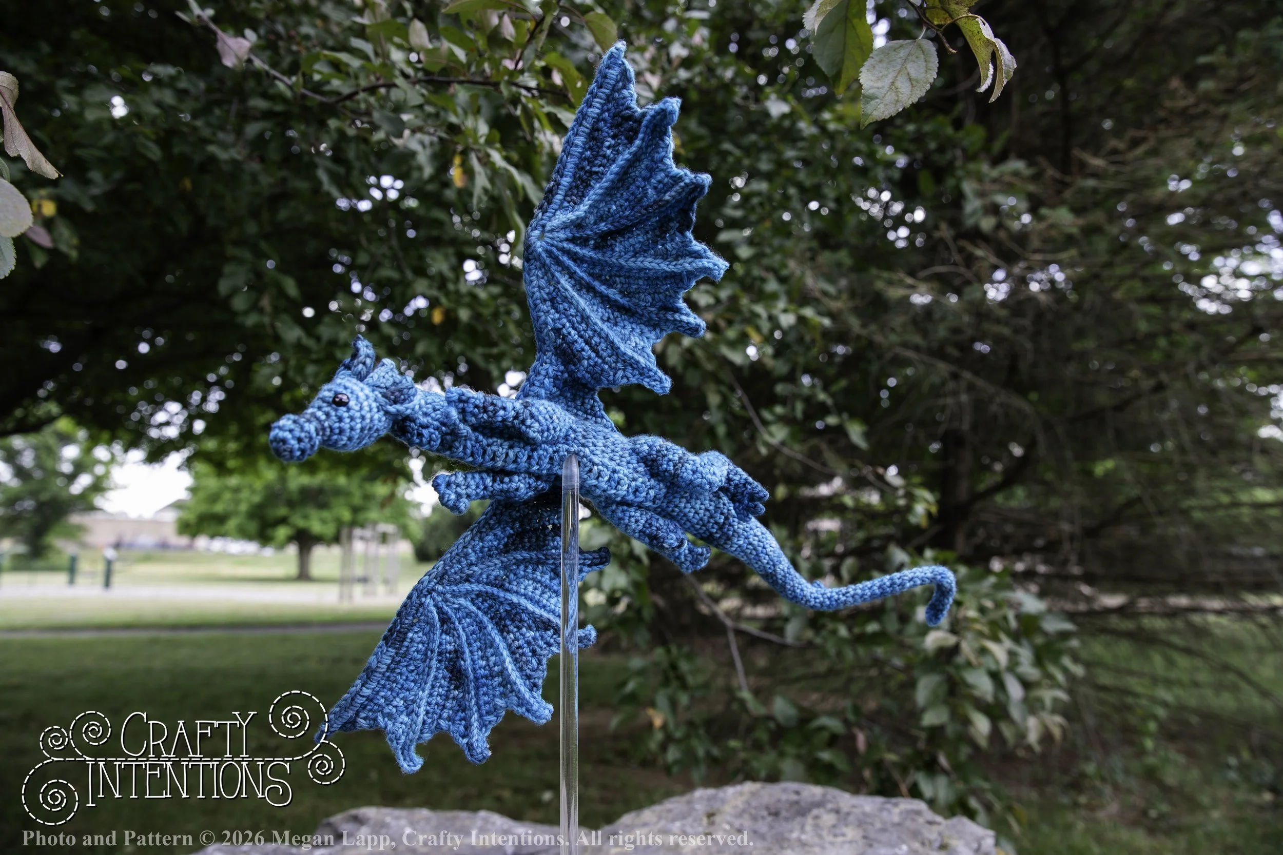 IMG_6187Charmingswiftwingdragonedited wlac.jpg