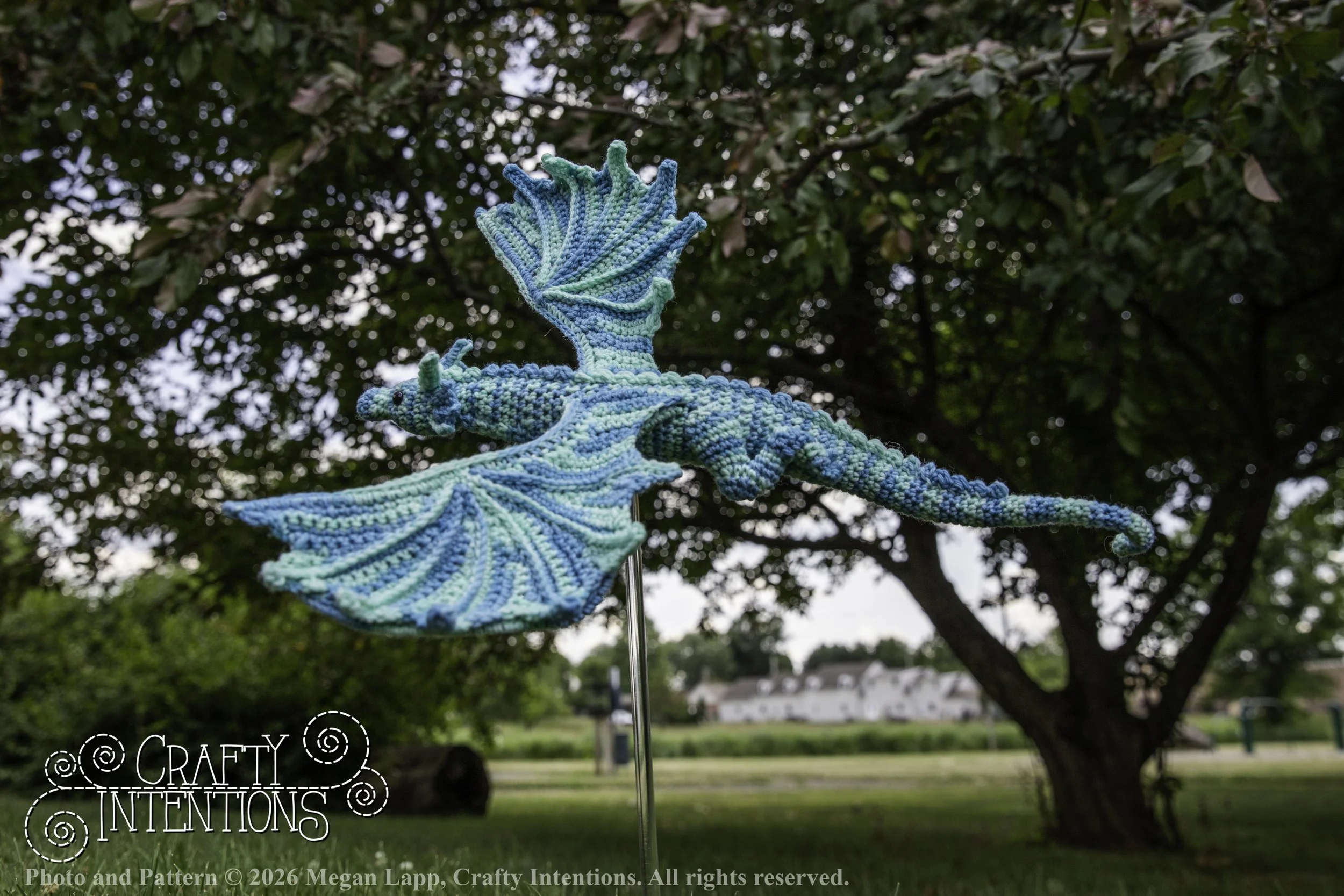 IMG_6237Charmingswiftwingdragoneditedlighter wlac.jpg