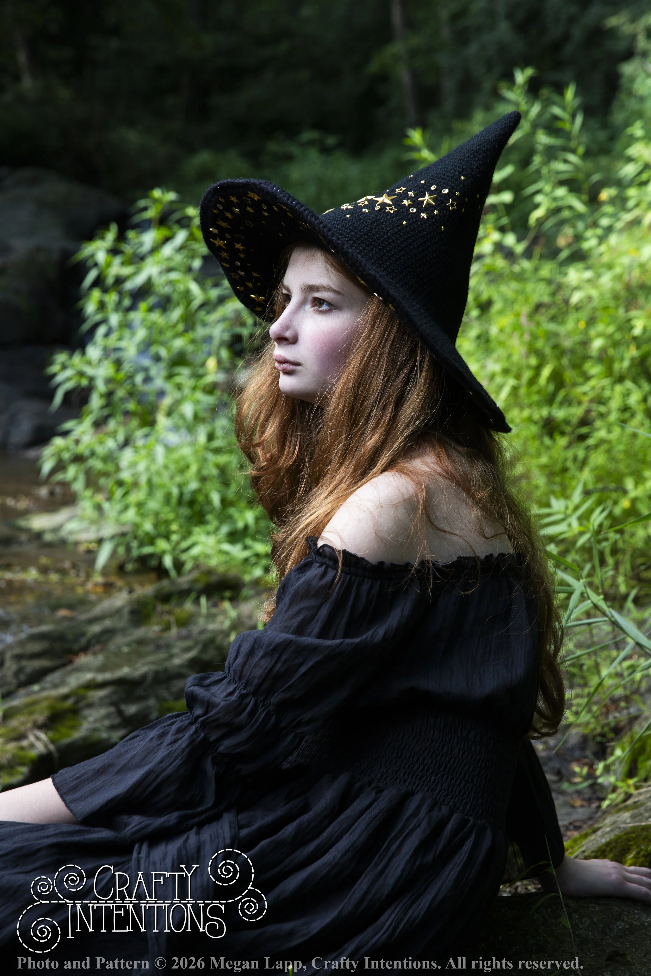 IMG_3282Barbsgardenwitchhatedited wlac.jpg