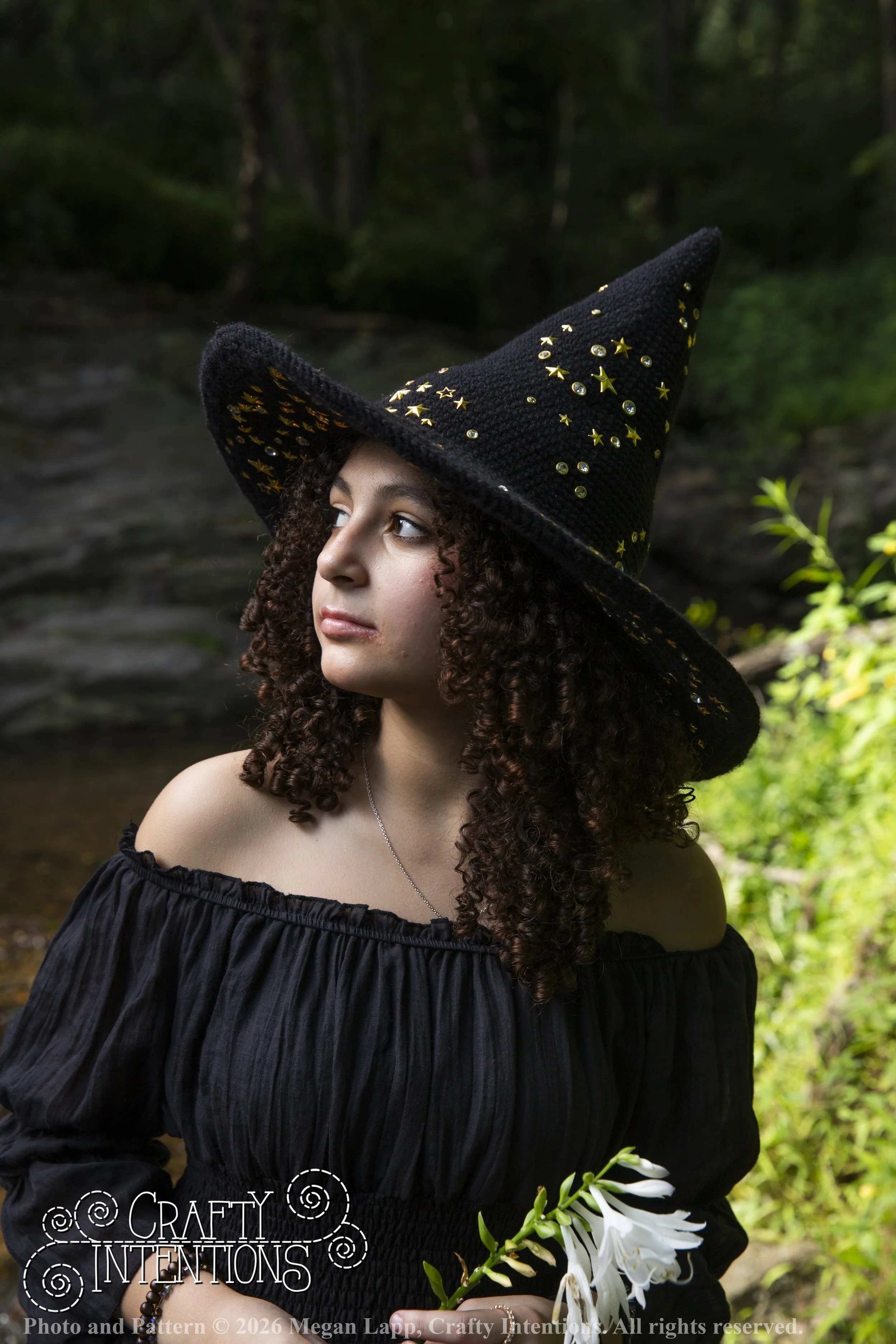 IMG_3465Barbsgardenwitchhatedited wlac.jpg