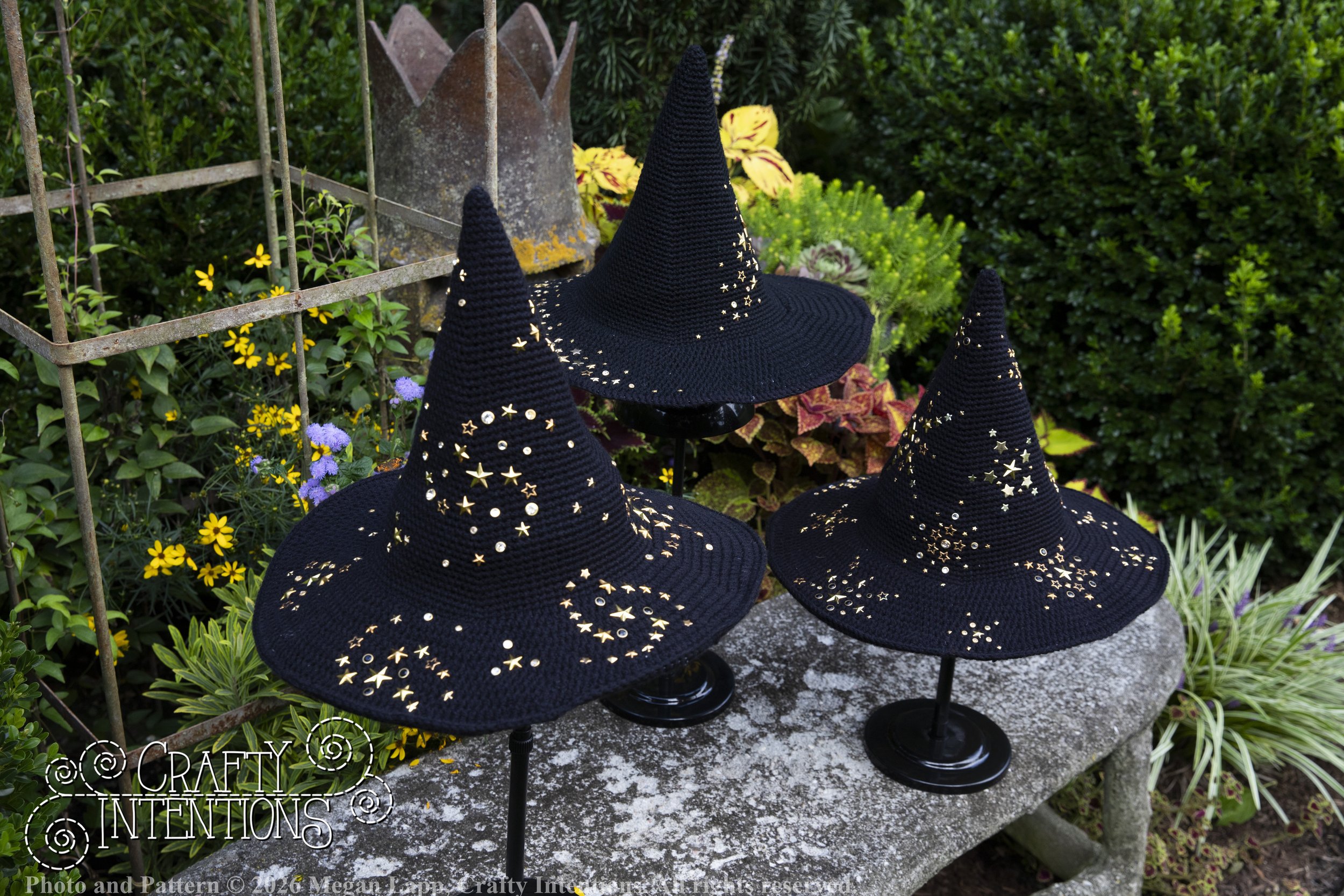 IMG_4331Barbsgardenwitchhatedited wlac.jpg