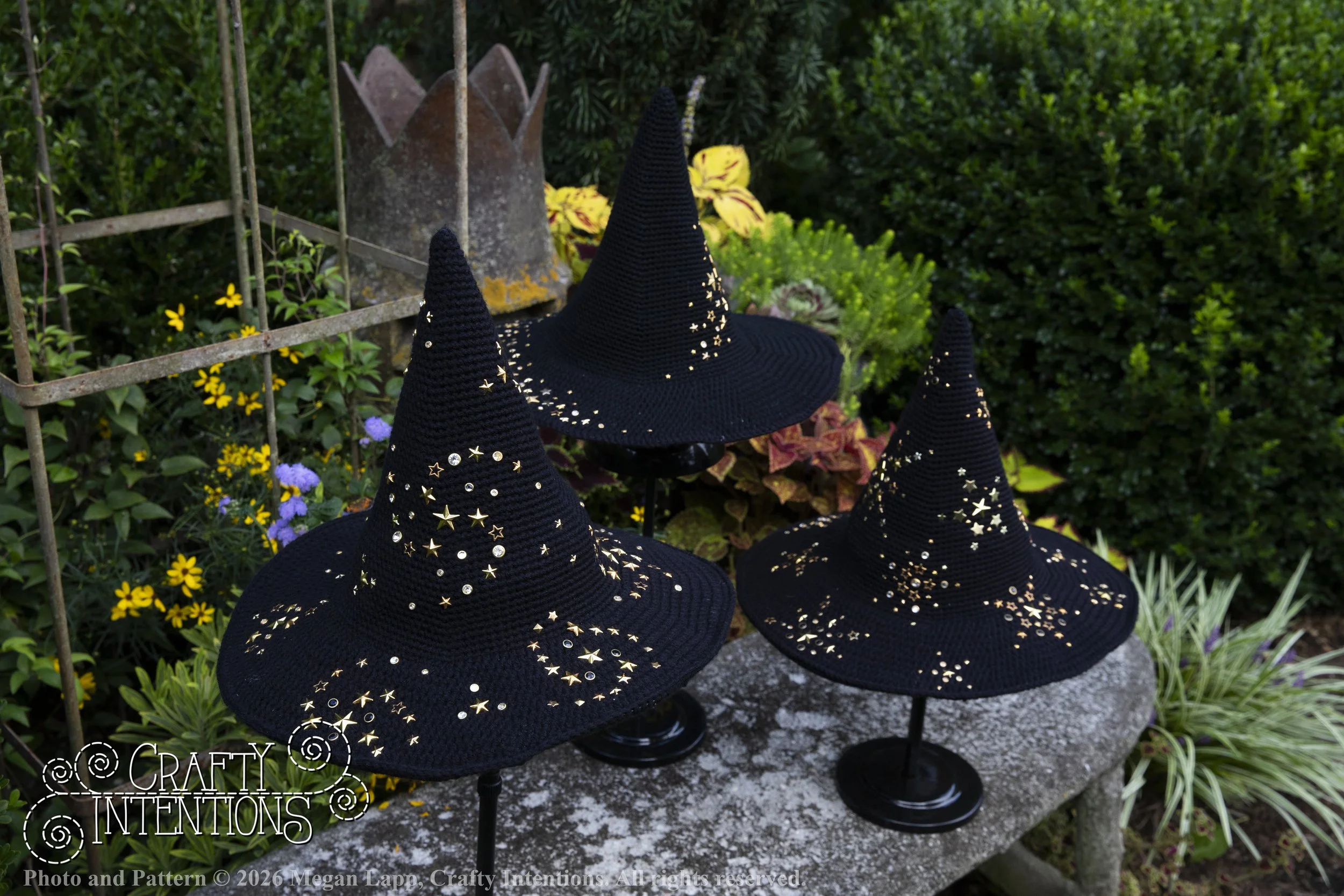 IMG_4334Barbsgardenwitchhatedited wlac.jpg
