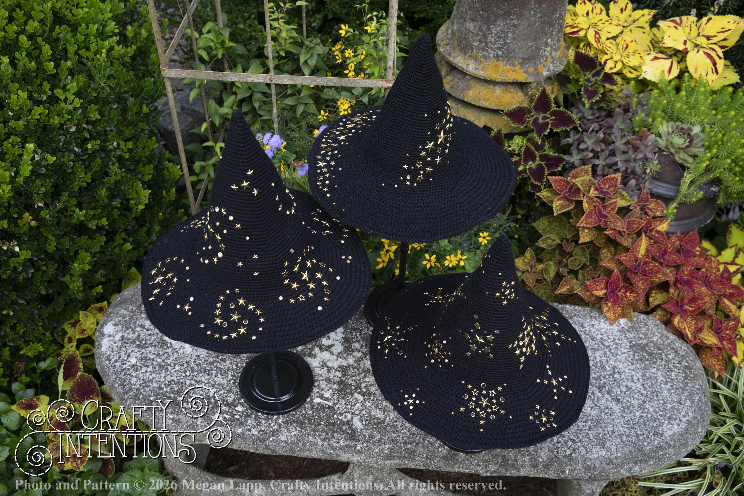IMG_4349Barbsgardenwitchhatedited wlac.jpg