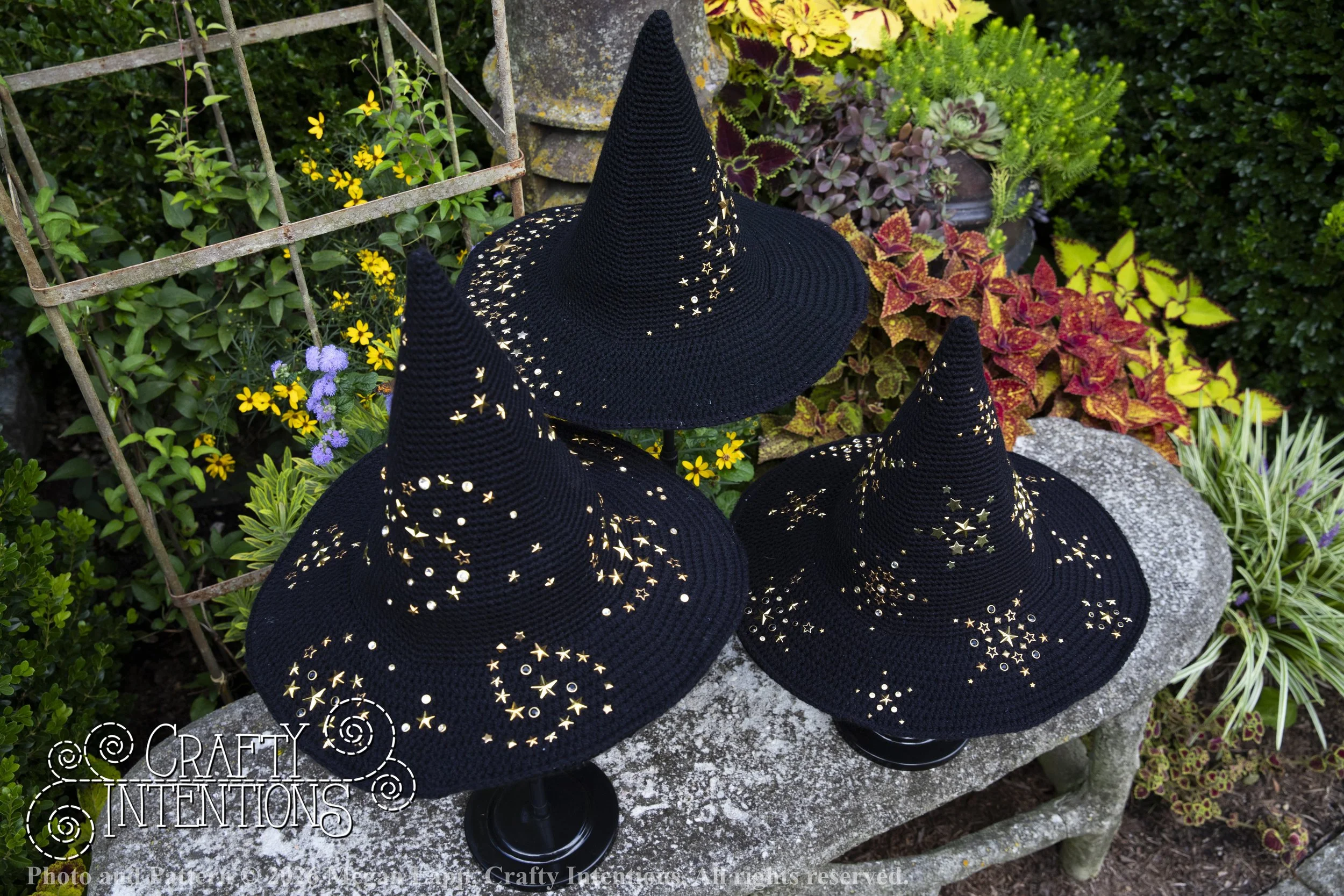 IMG_4357Barbsgardenwitchhatedited wlac.jpg