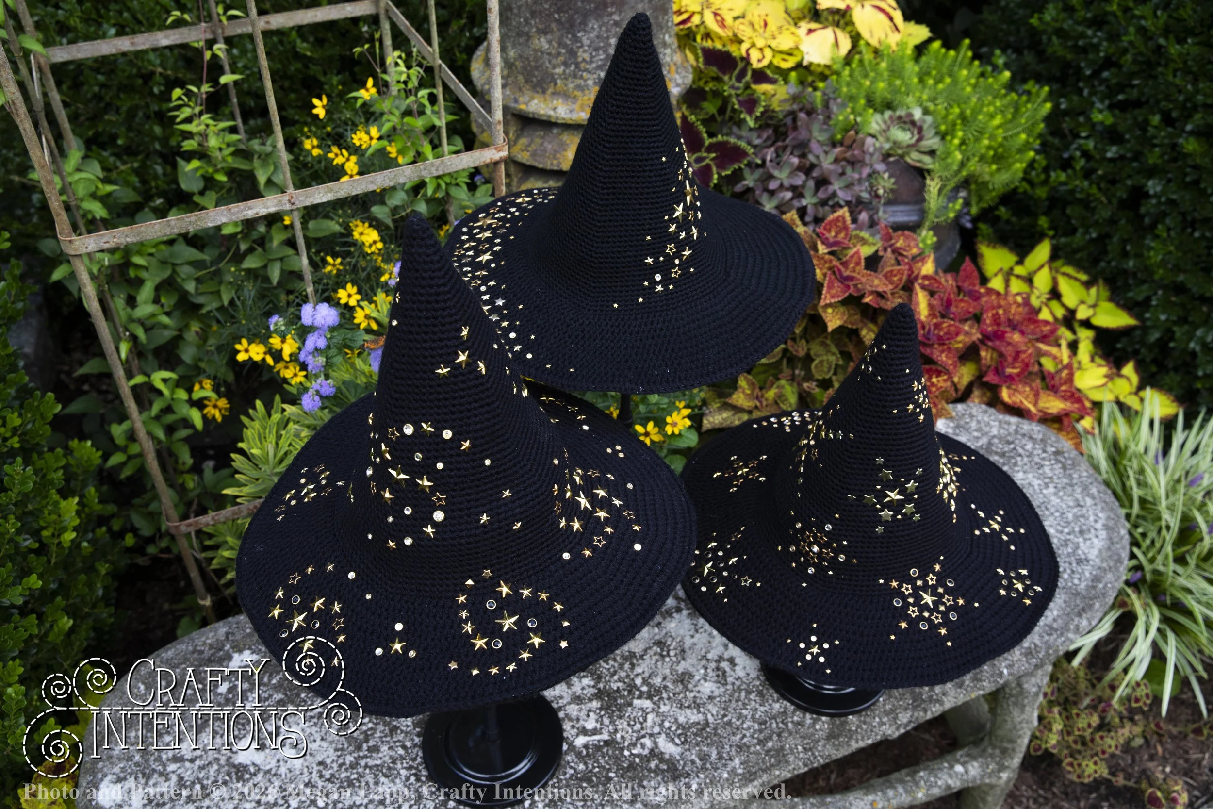 IMG_4364Barbsgardenwitchhatedited wlac.jpg