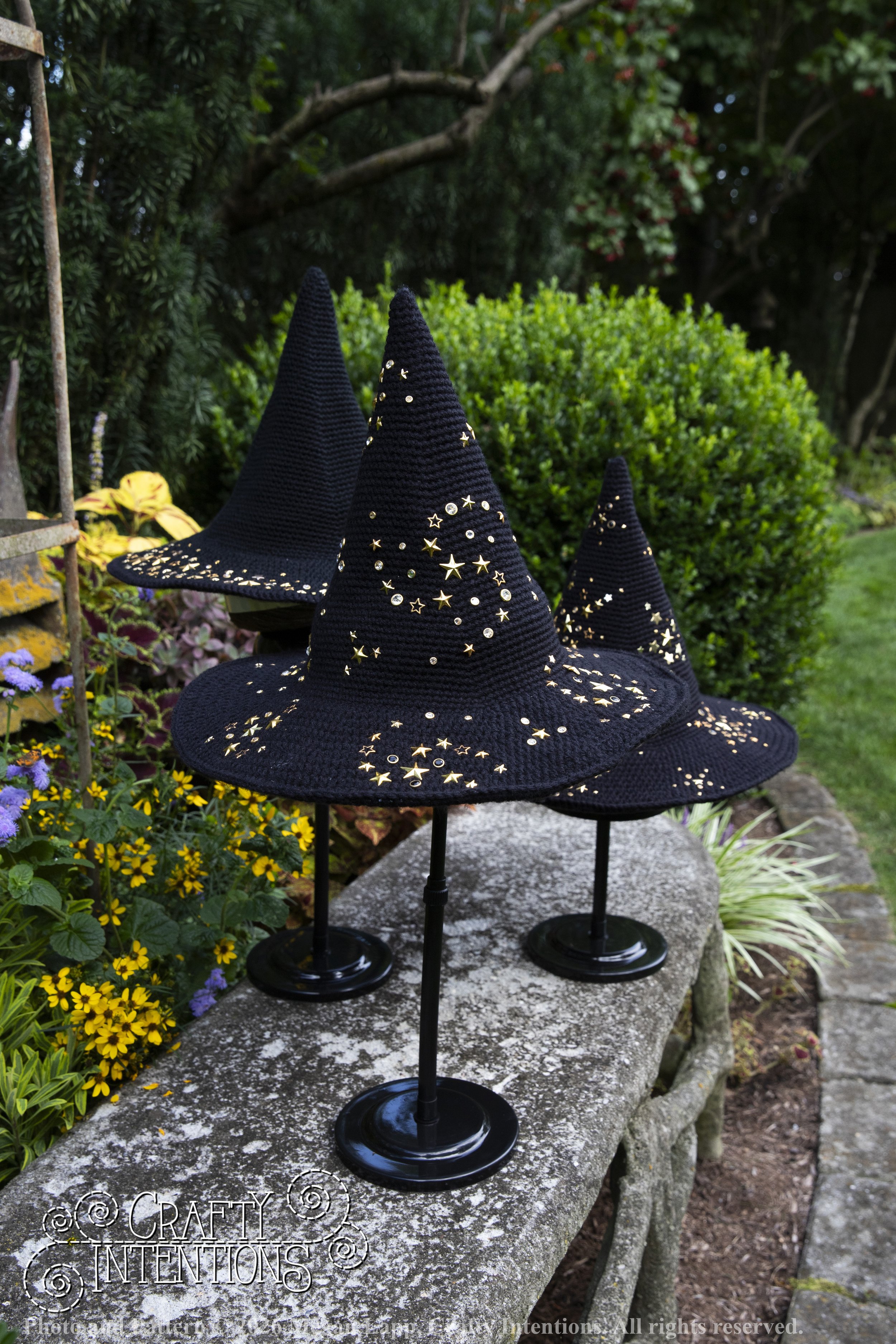 IMG_4367Barbsgardenwitchhatedited wlac.jpg