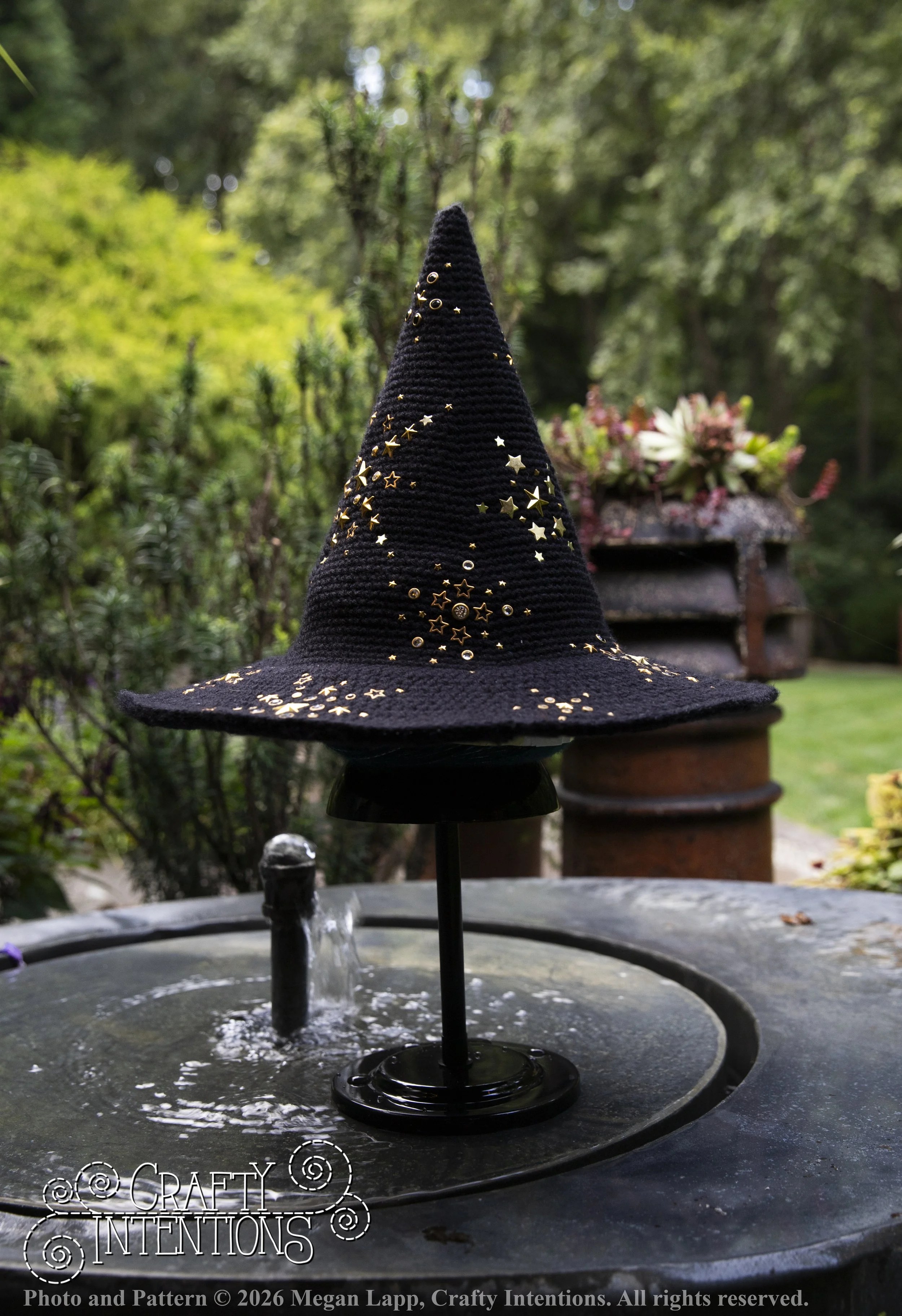 IMG_4389Barbsgardenwitchhatedited wlac.jpg