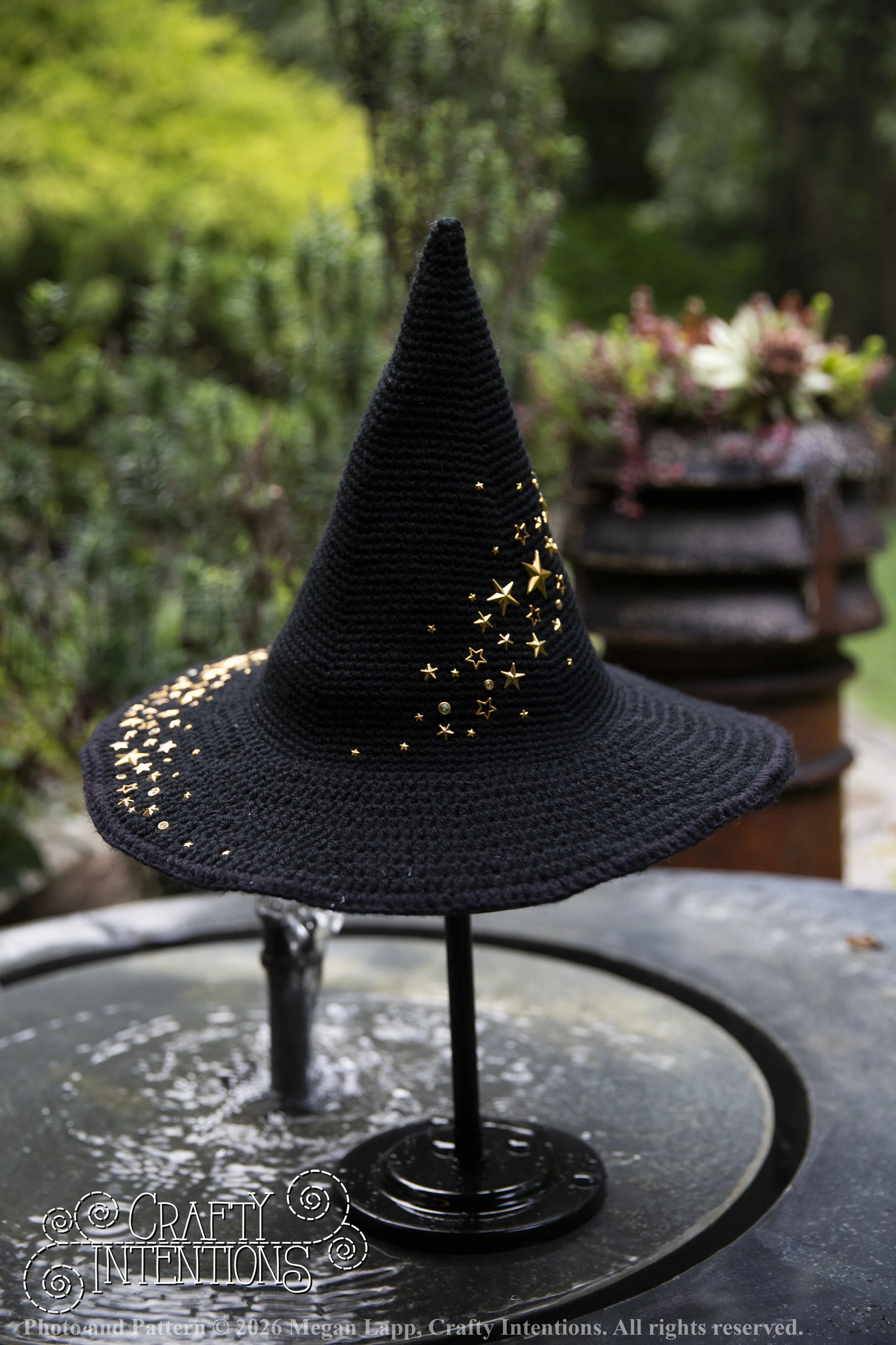 IMG_4422Barbsgardenwitchhatedited wlac.jpg