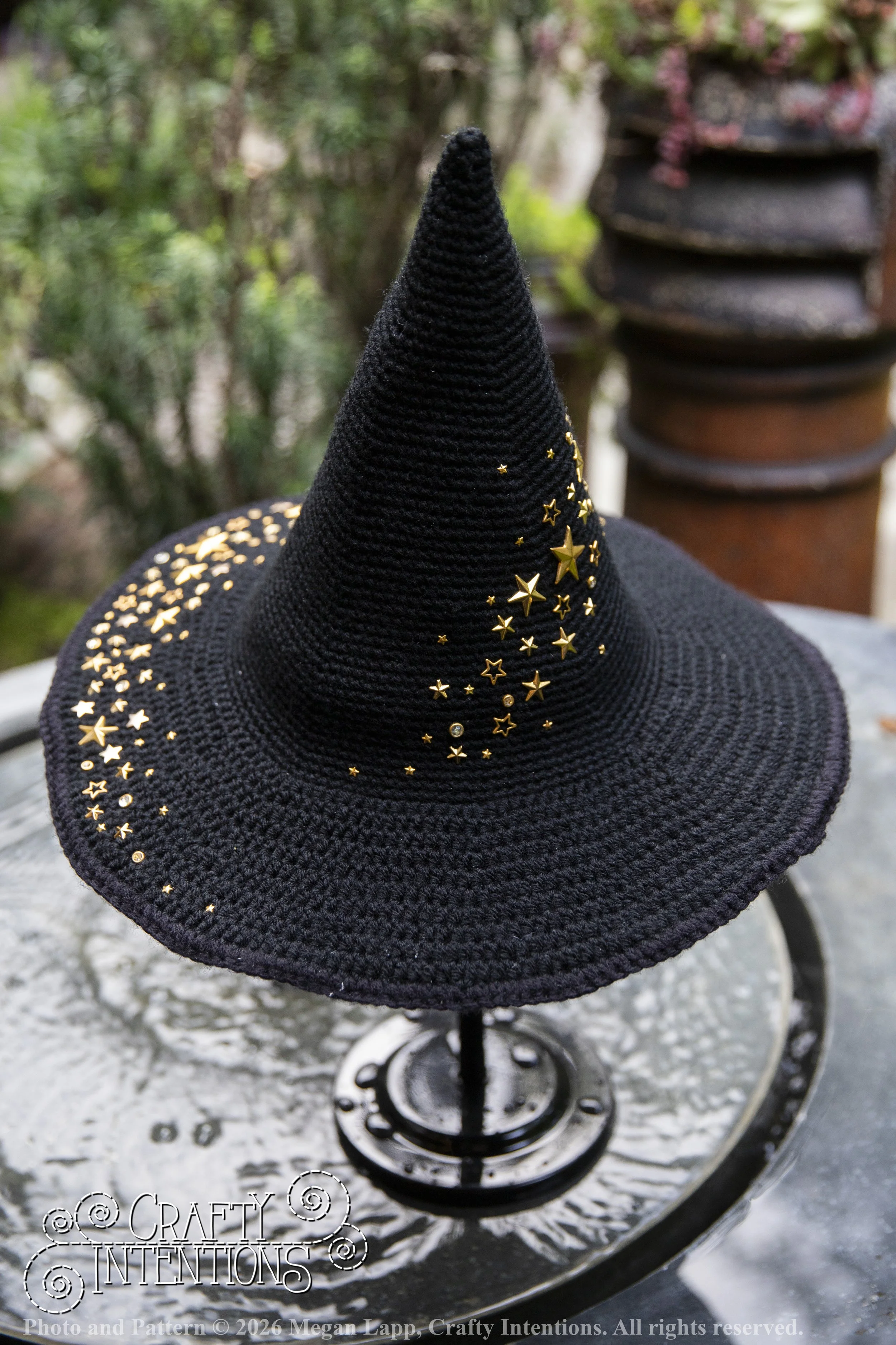 IMG_4429Barbsgardenwitchhatedited wlac.jpg