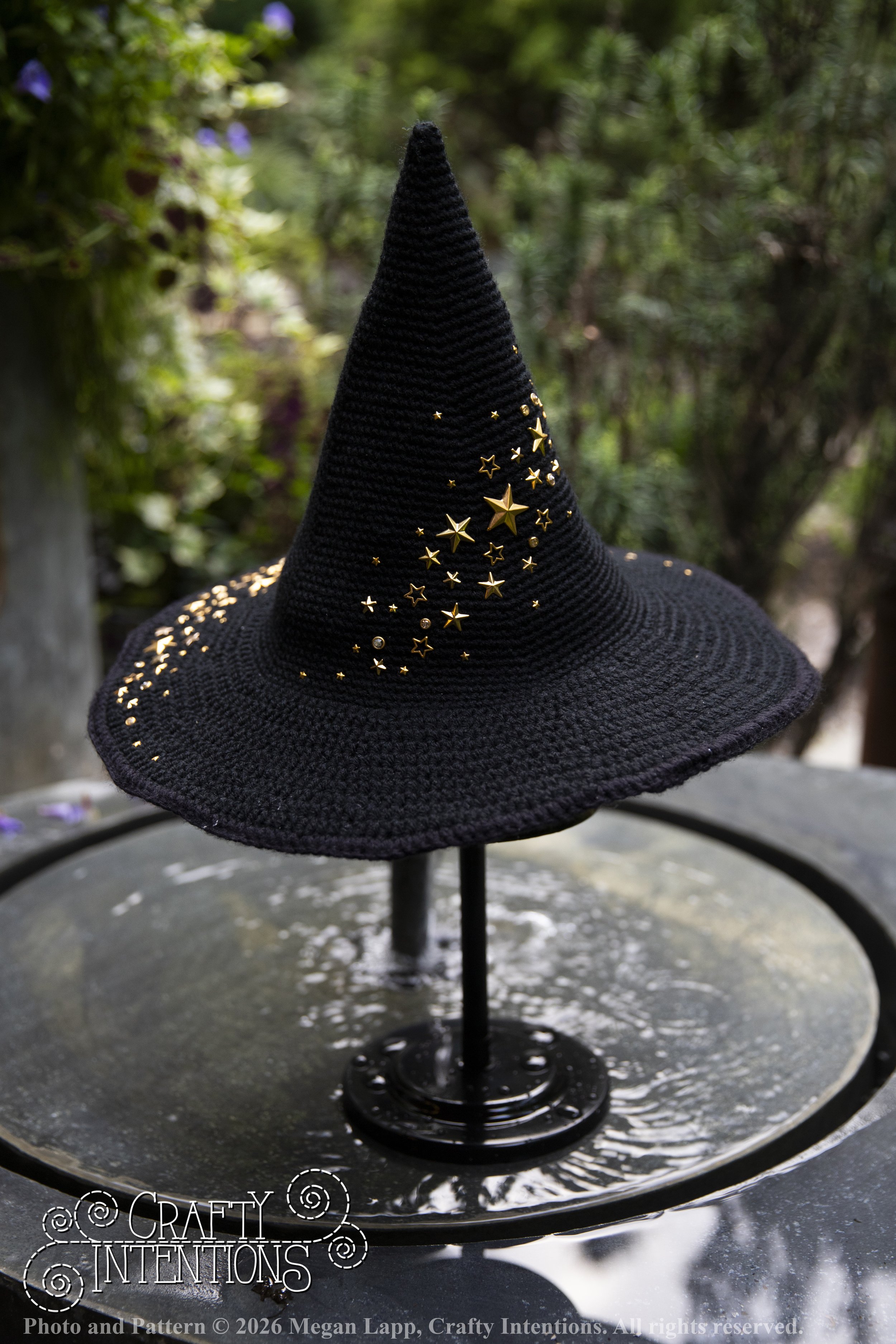 IMG_4433Barbsgardenwitchhatedited wlac.jpg