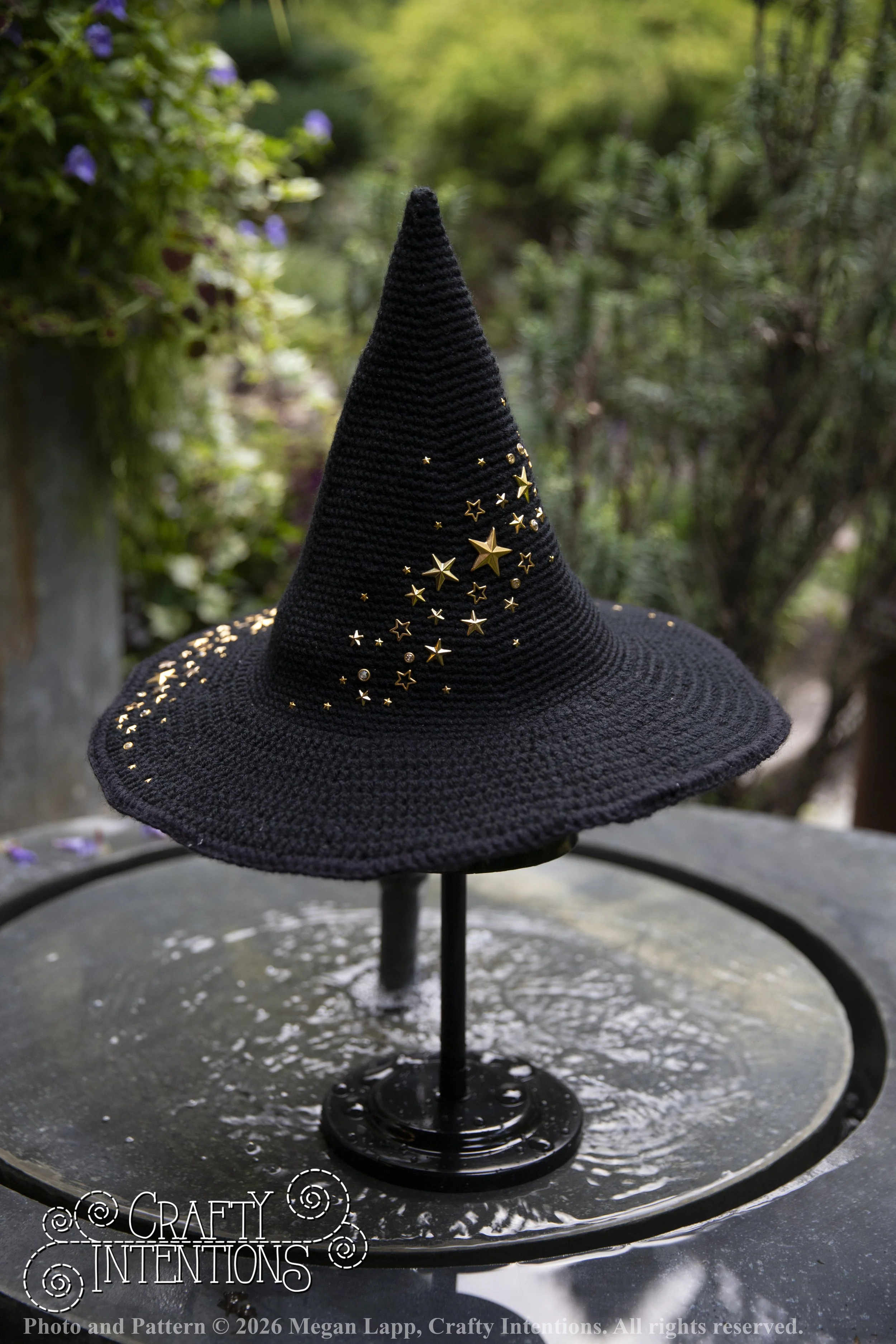 IMG_4437Barbsgardenwitchhatedited wlac.jpg