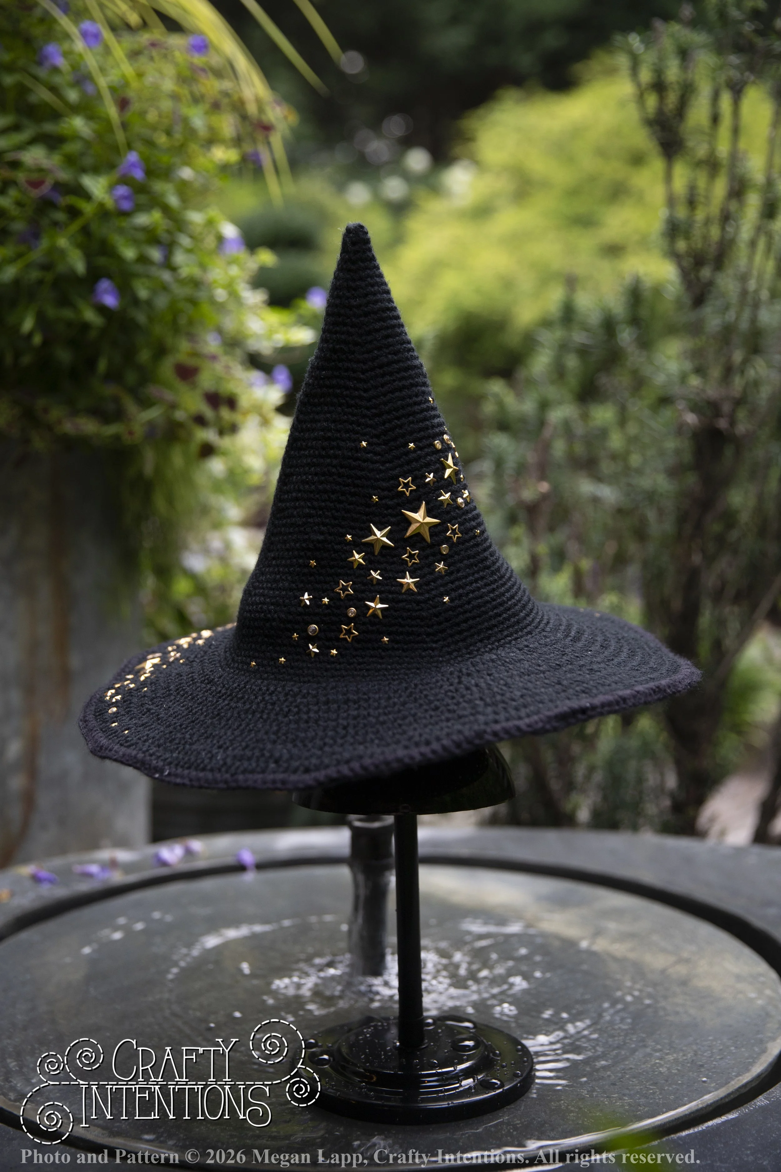 IMG_4442Barbsgardenwitchhatedited wlac.jpg