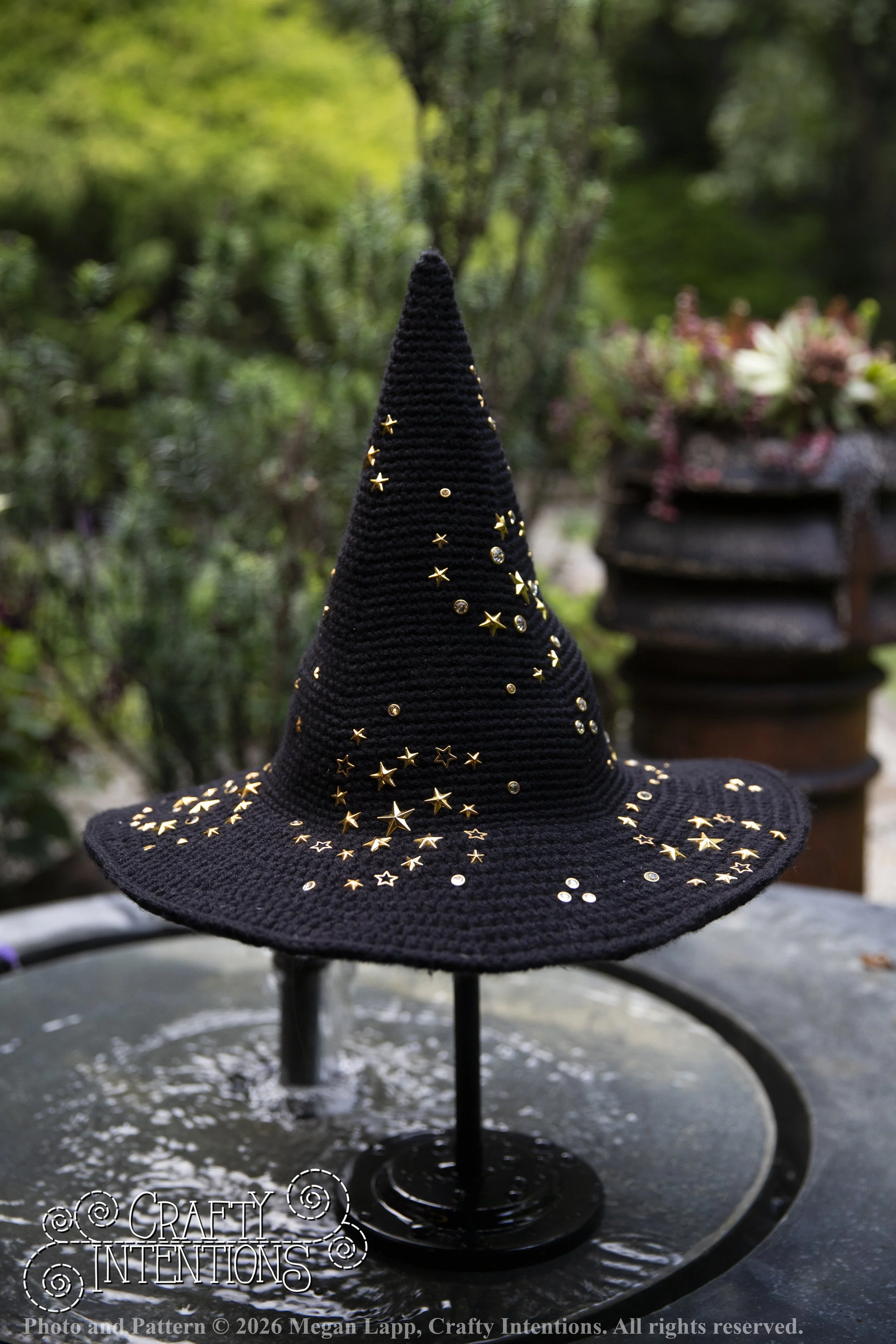 IMG_4455Barbsgardenwitchhatedited wlac.jpg