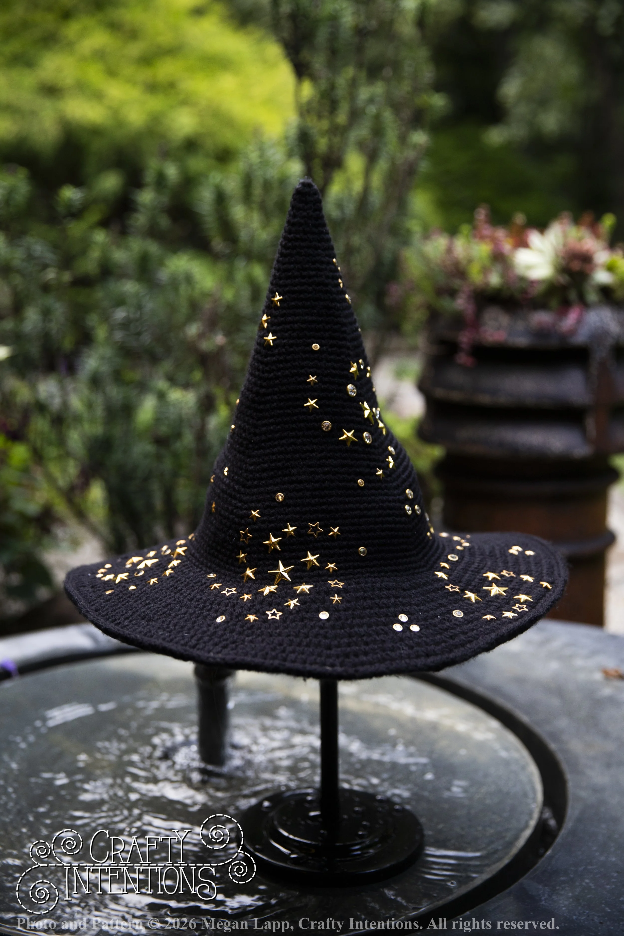 IMG_4454Barbsgardenwitchhatedited wlac.jpg