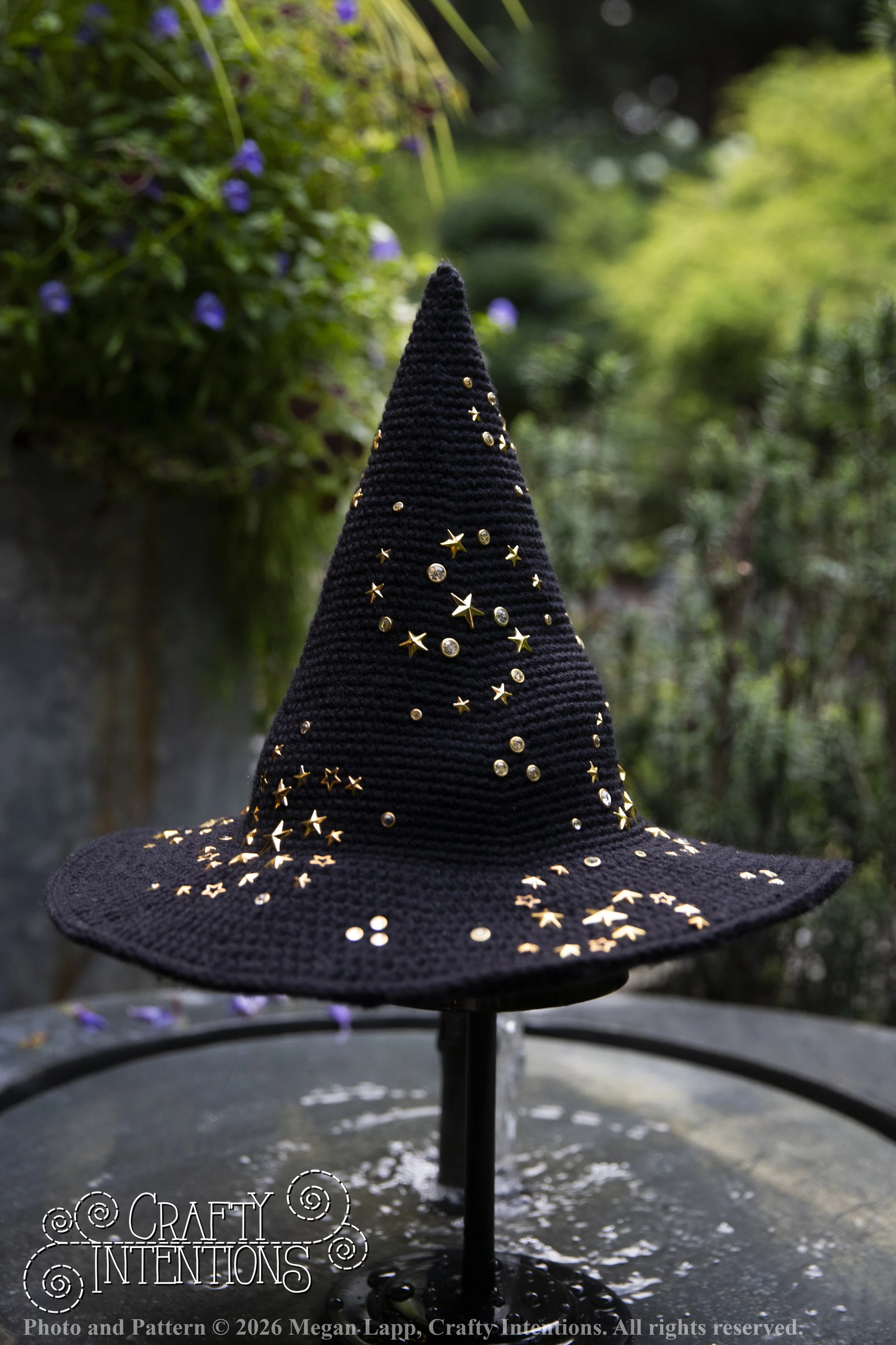 IMG_4460Barbsgardenwitchhatedited wlac.jpg