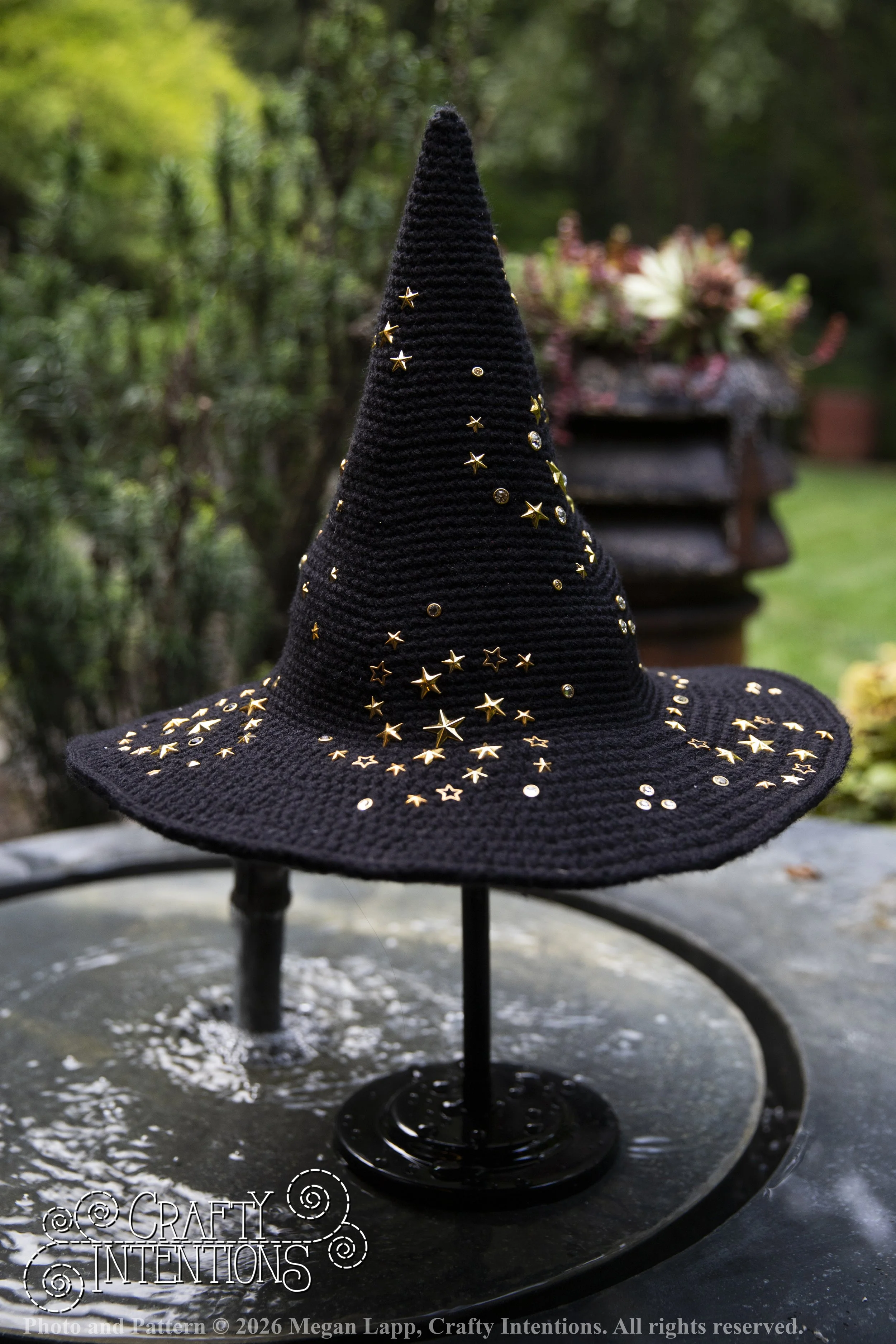 IMG_4471Barbsgardenwitchhatedited wlac.jpg