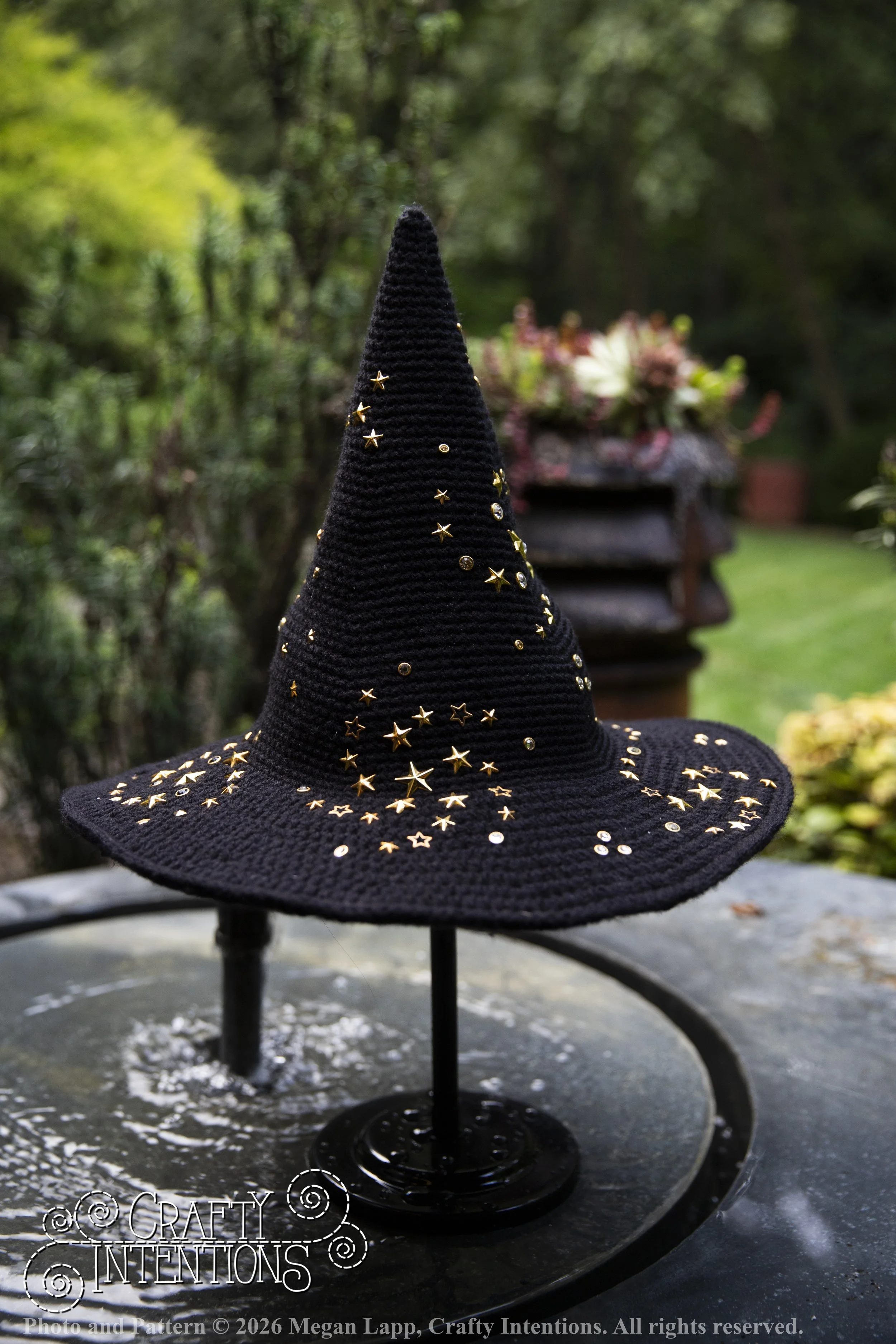 IMG_4473Barbsgardenwitchhatedited wlac.jpg