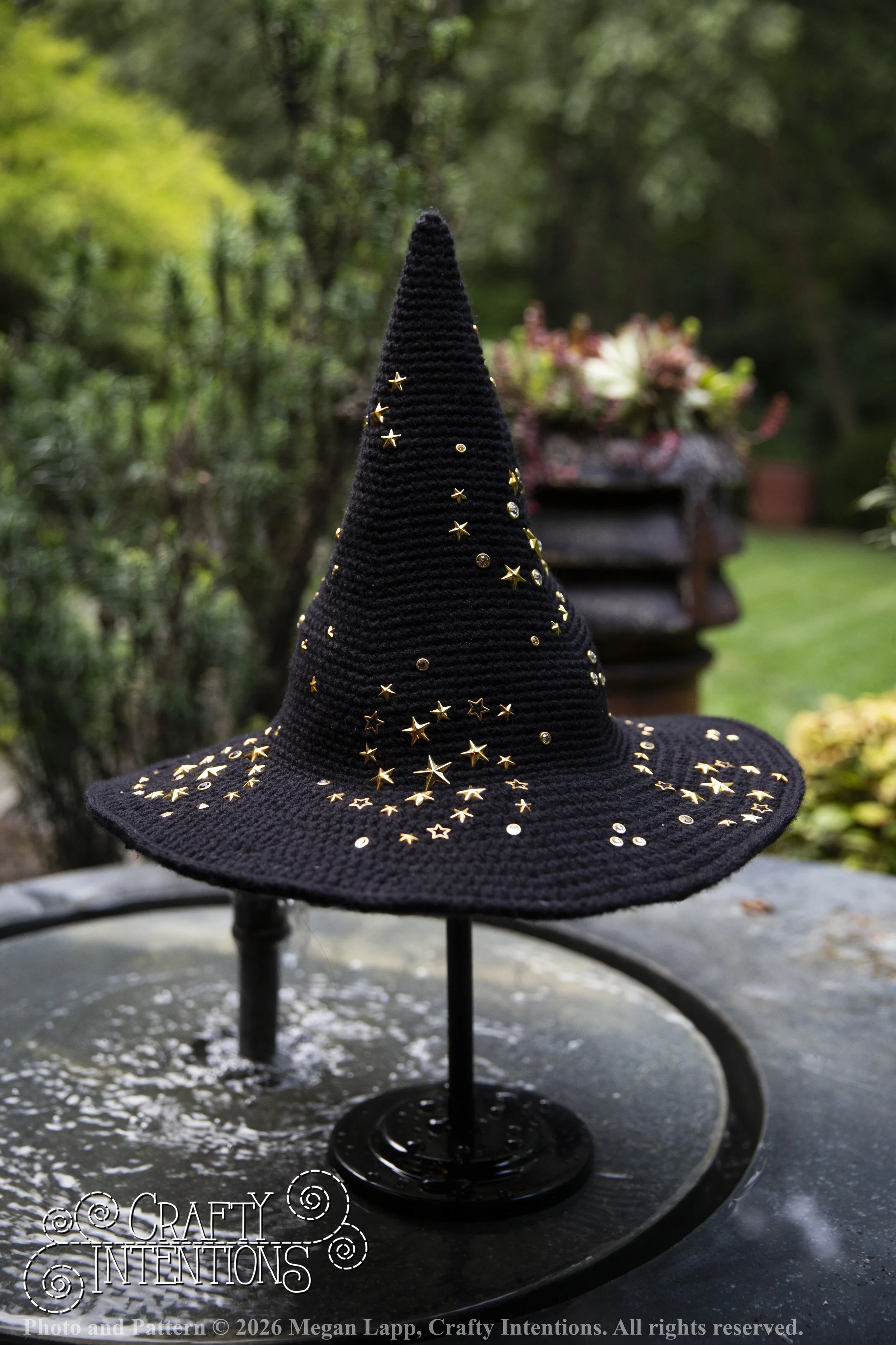 IMG_4479Barbsgardenwitchhatedited wlac.jpg
