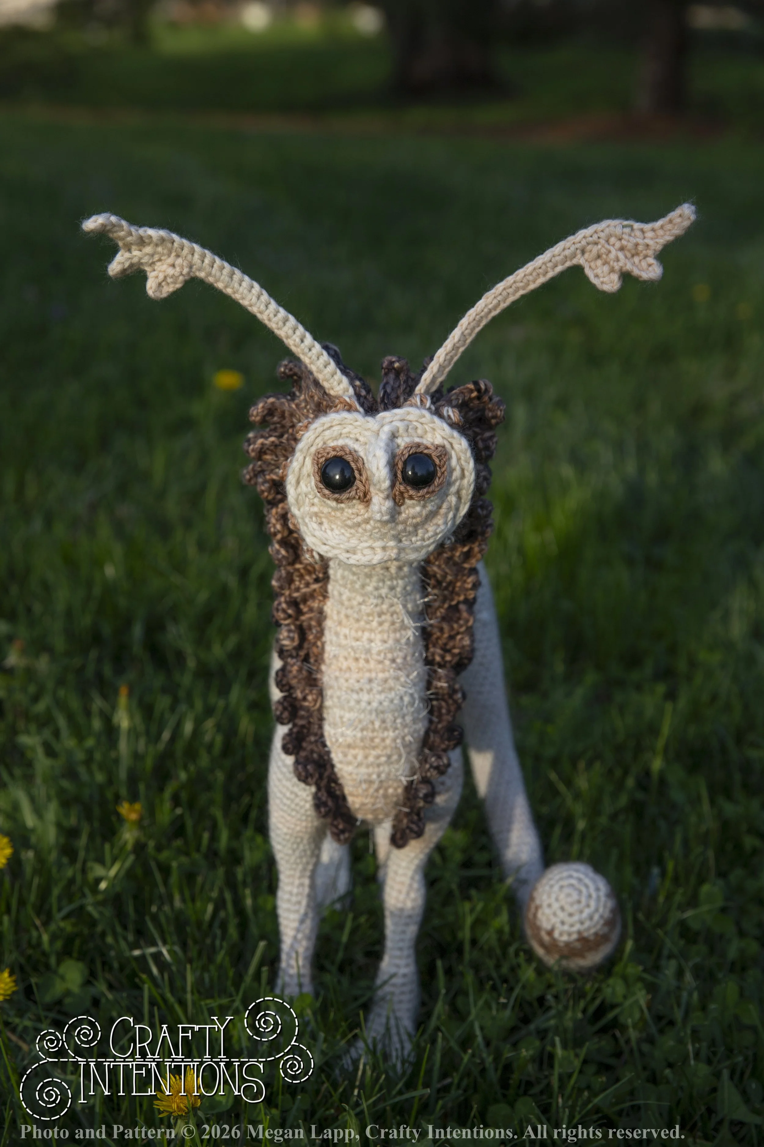 IMG_3360Knowledgesprite edited_2 wlac.jpg
