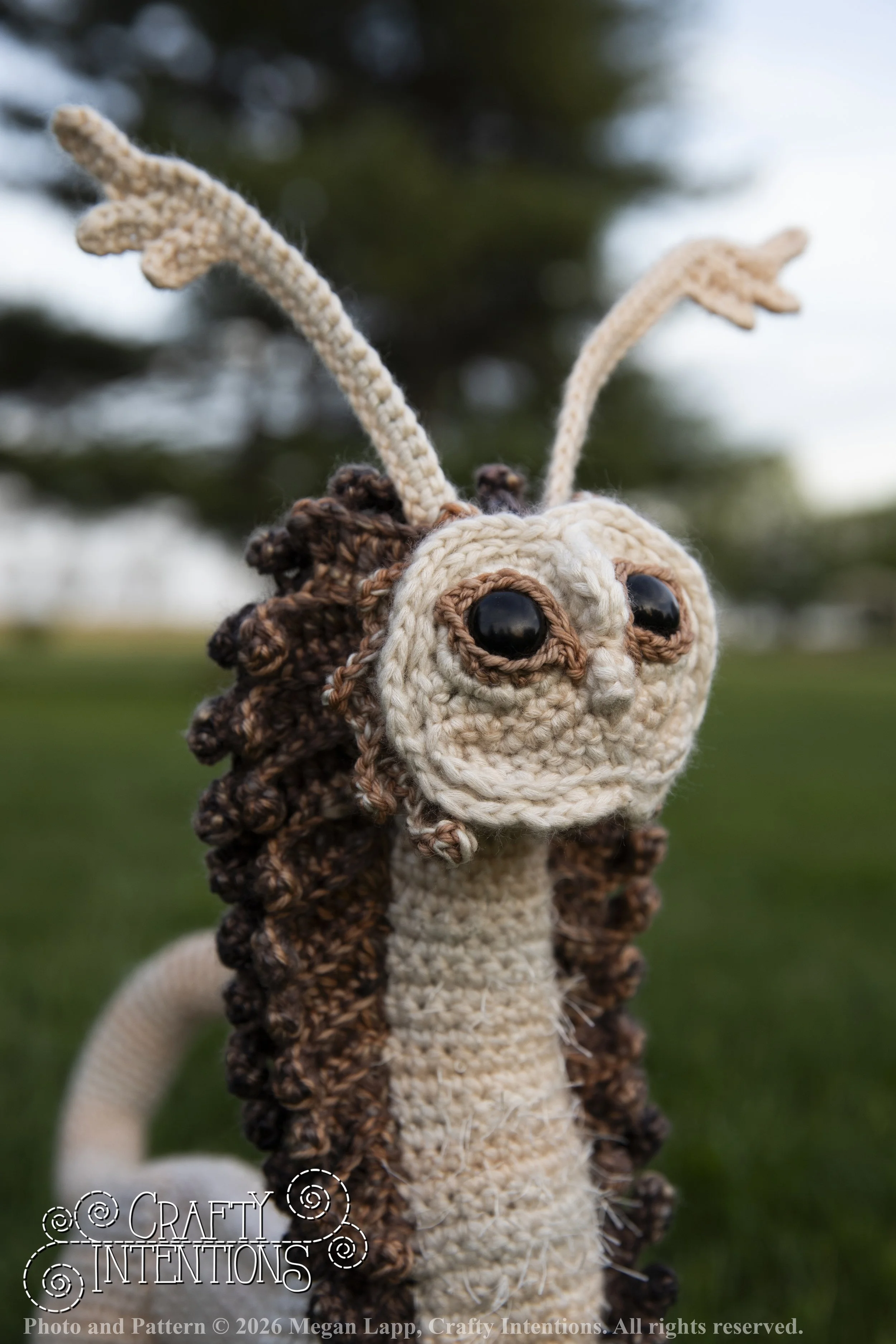 IMG_3691Knowledgesprite edited_wlac.jpg